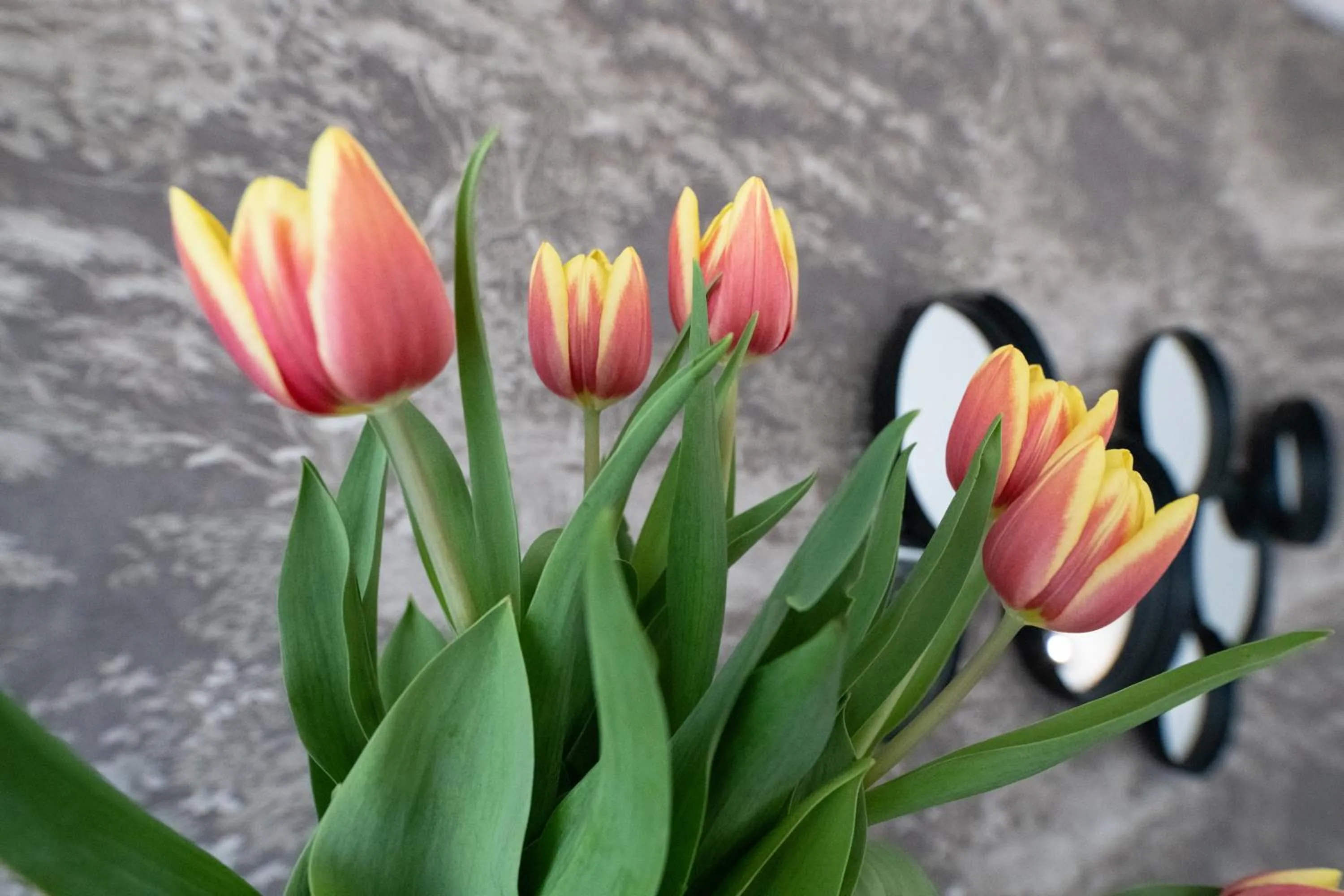 Decorative detail in Hotel Brennero