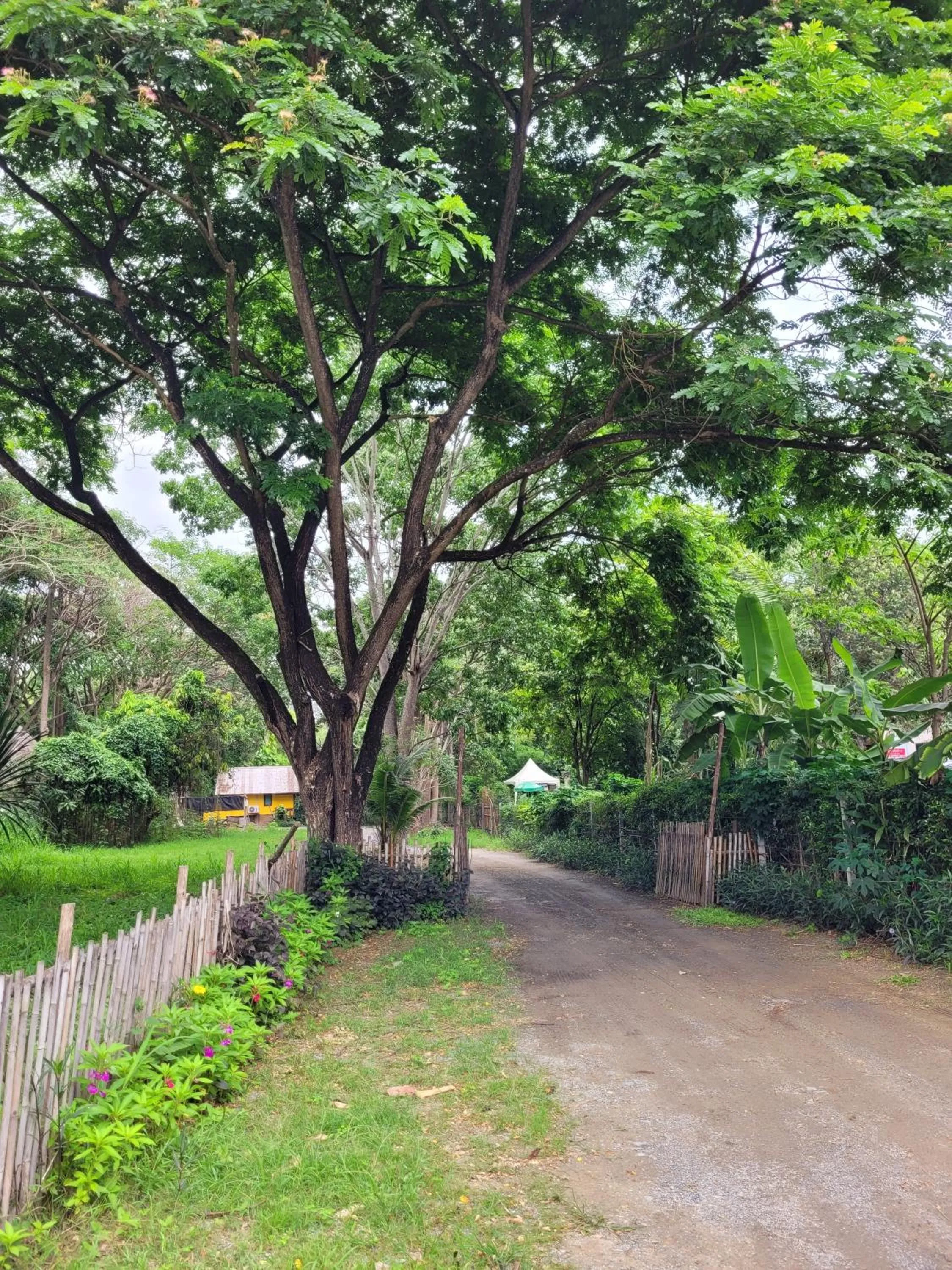 View (from property/room) in Brookhouse at Khaoyai