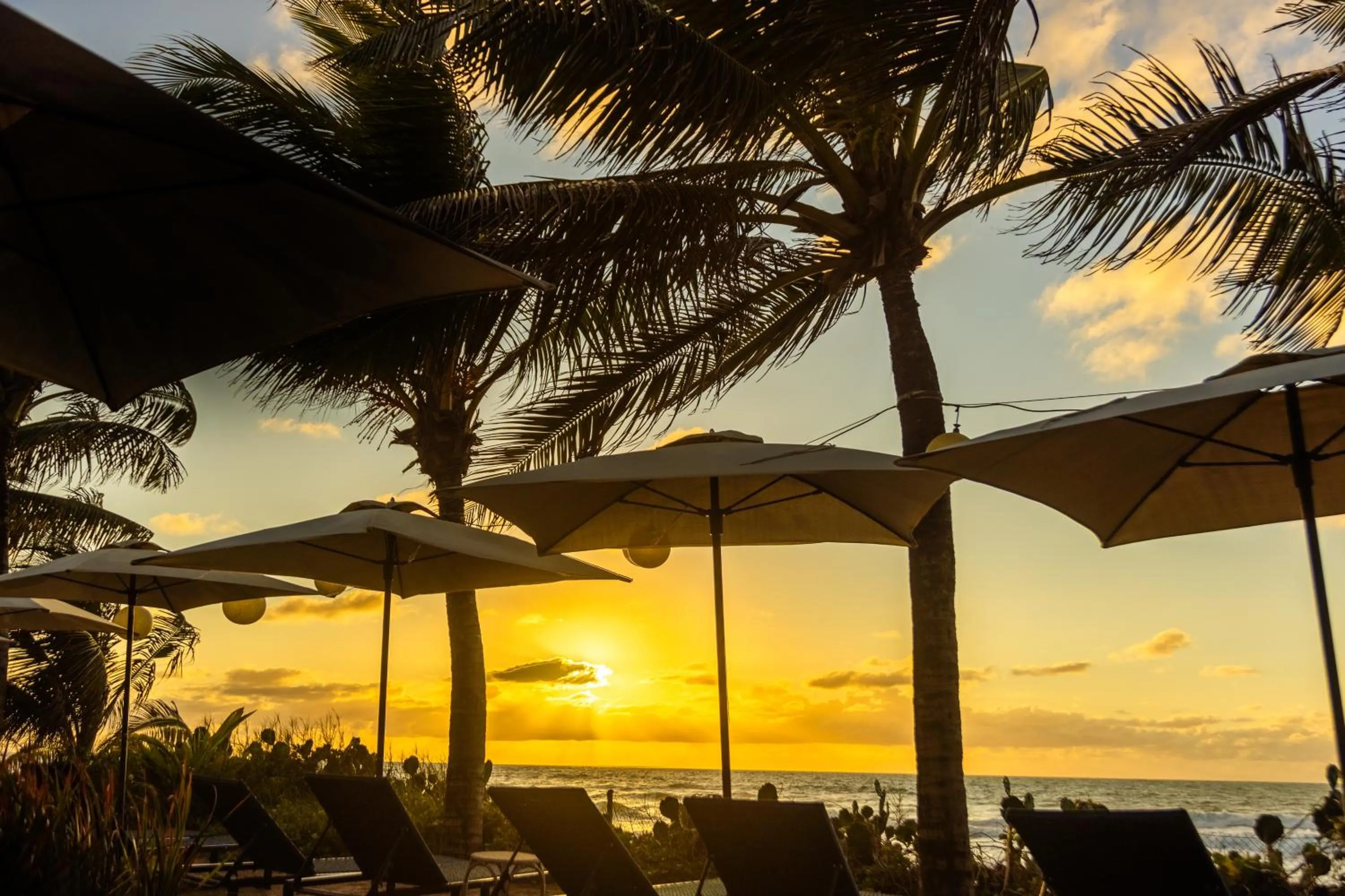 Bird's eye view in The Westin Porto de Galinhas All-Inclusive