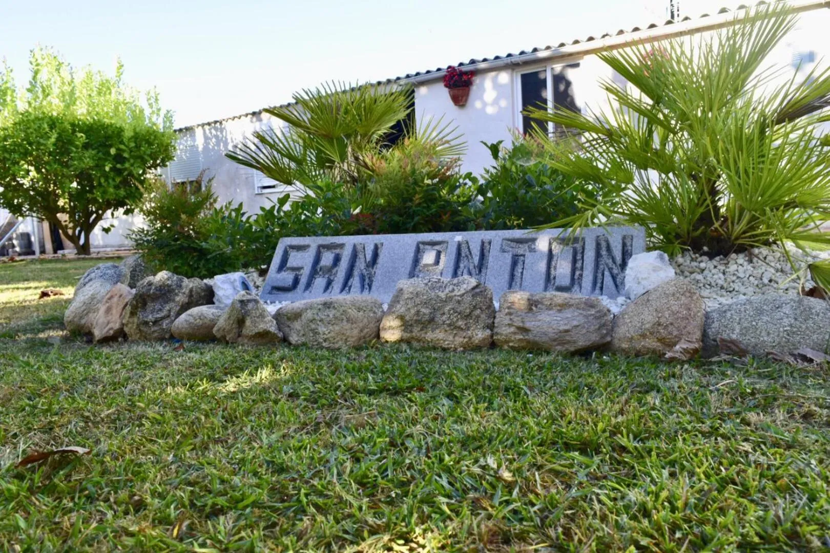 Garden in Pensión San Antón
