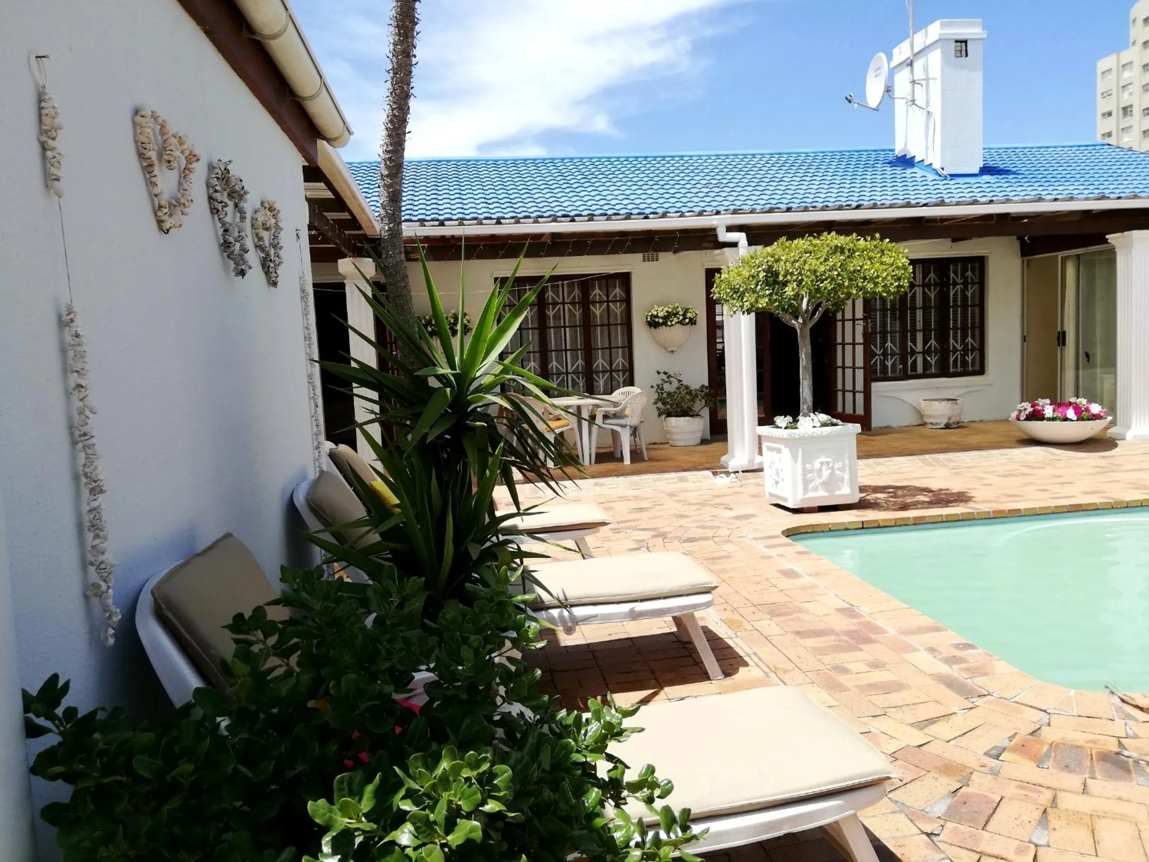 Garden in Dolphin Inn Blouberg