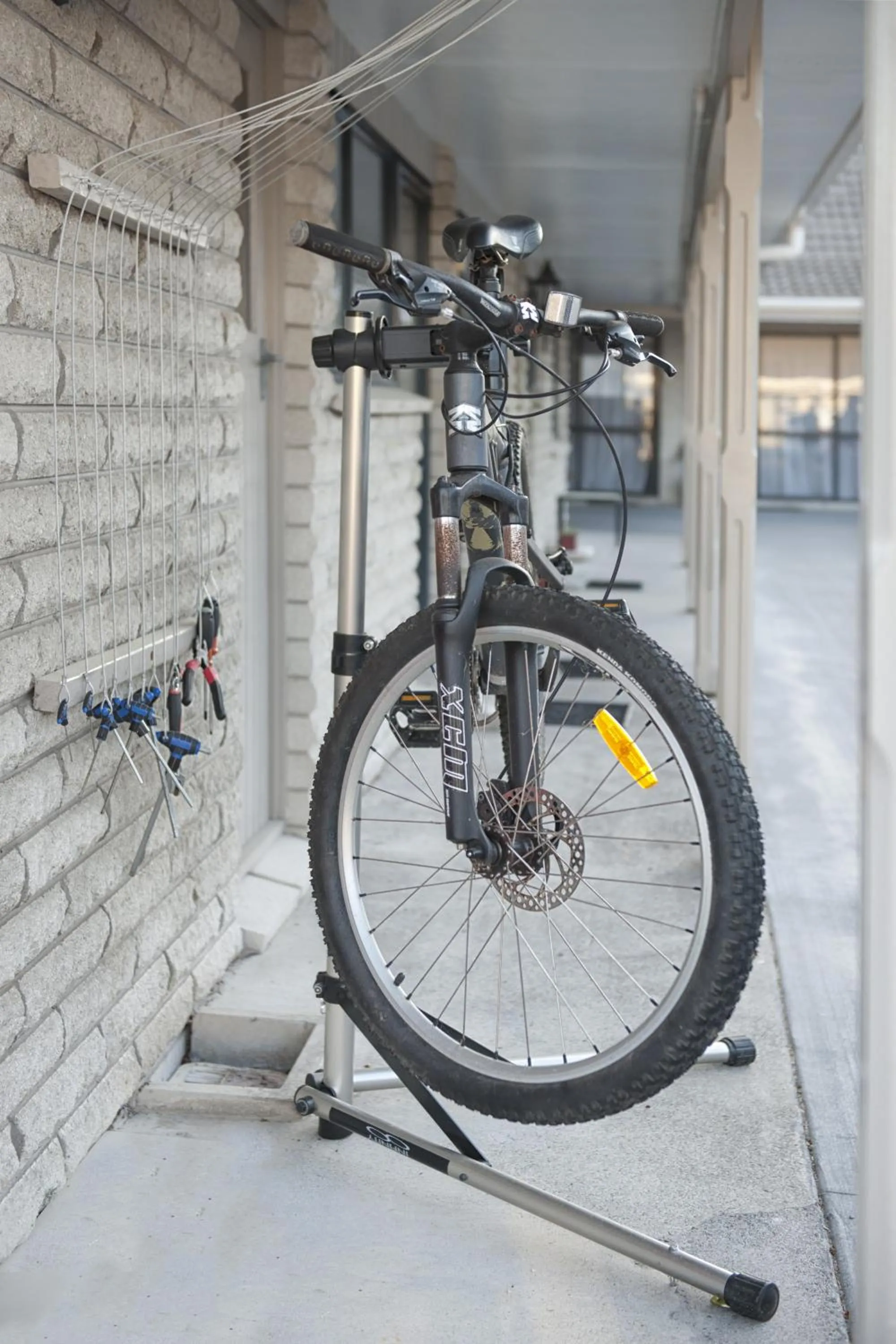 Other in Sport Of Kings Motel