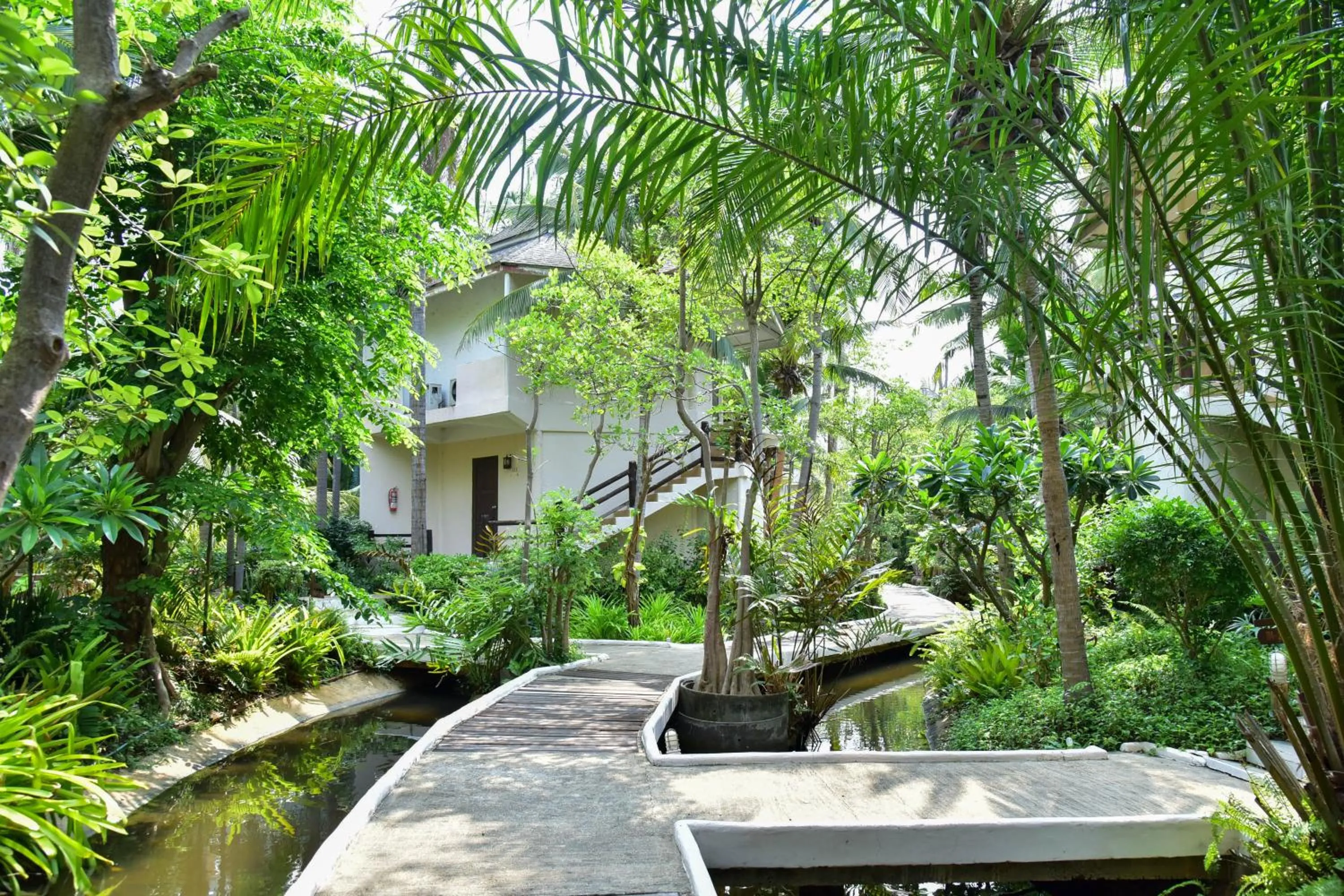 Natural landscape in Tanaosri Resort Pranburi