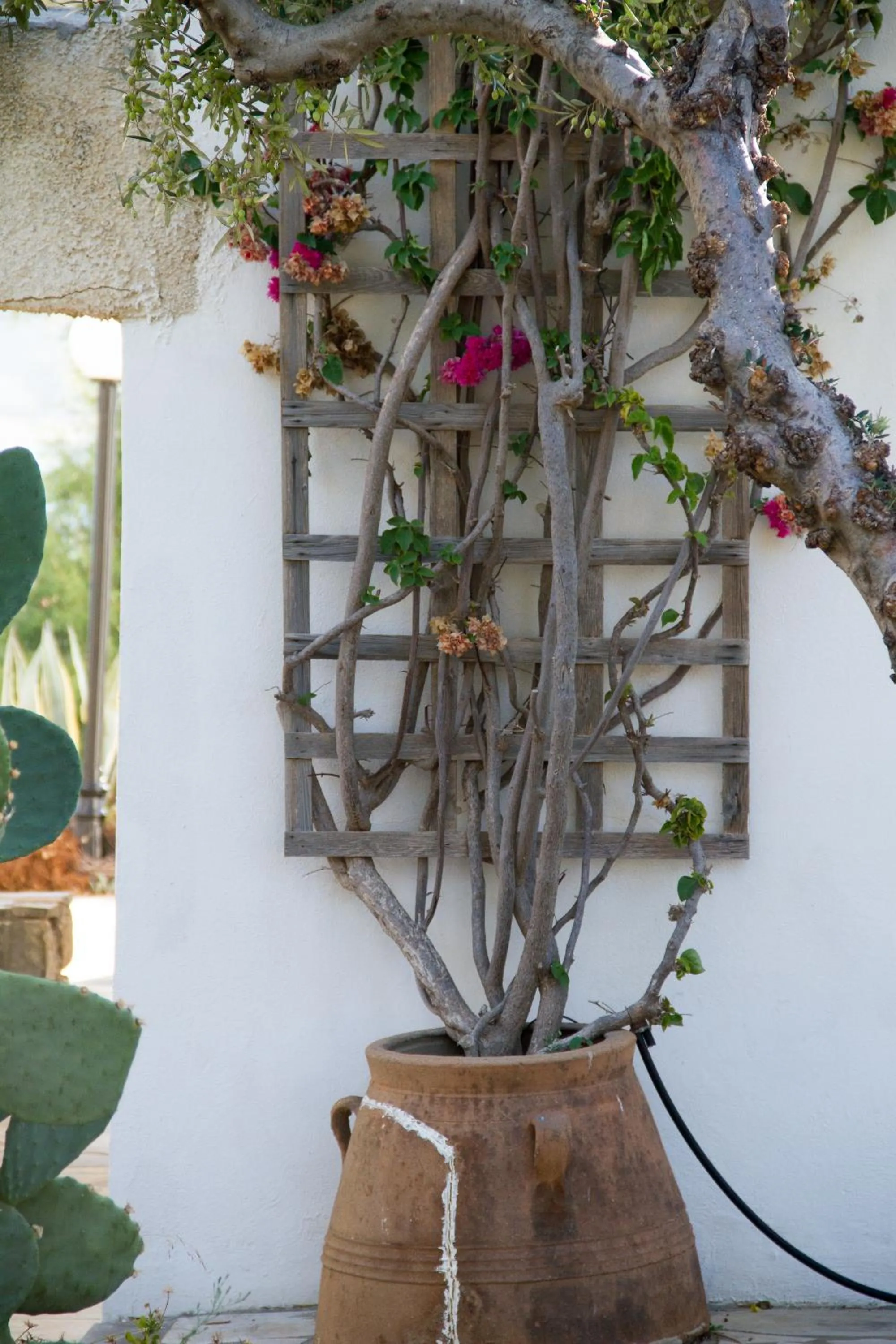 View (from property/room) in Blue Beach Villas Apartments