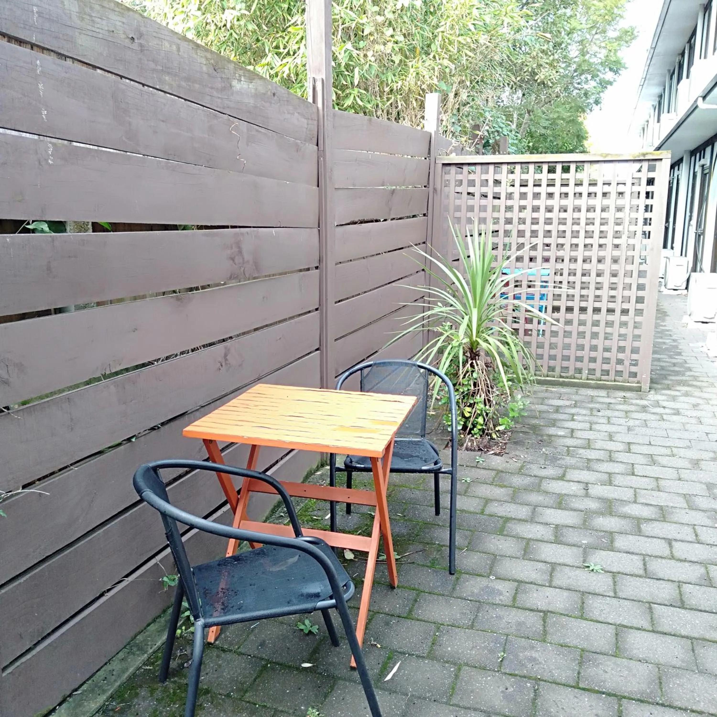 Balcony/Terrace in Albatross Motel