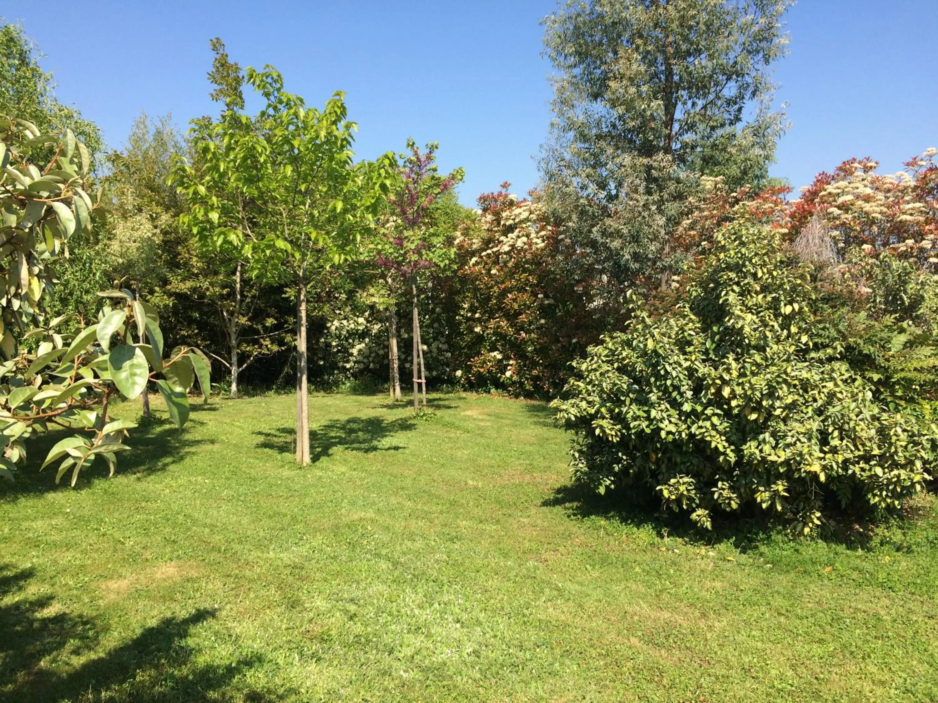 Garden in CoTTAGE LA VILLA BOLERO