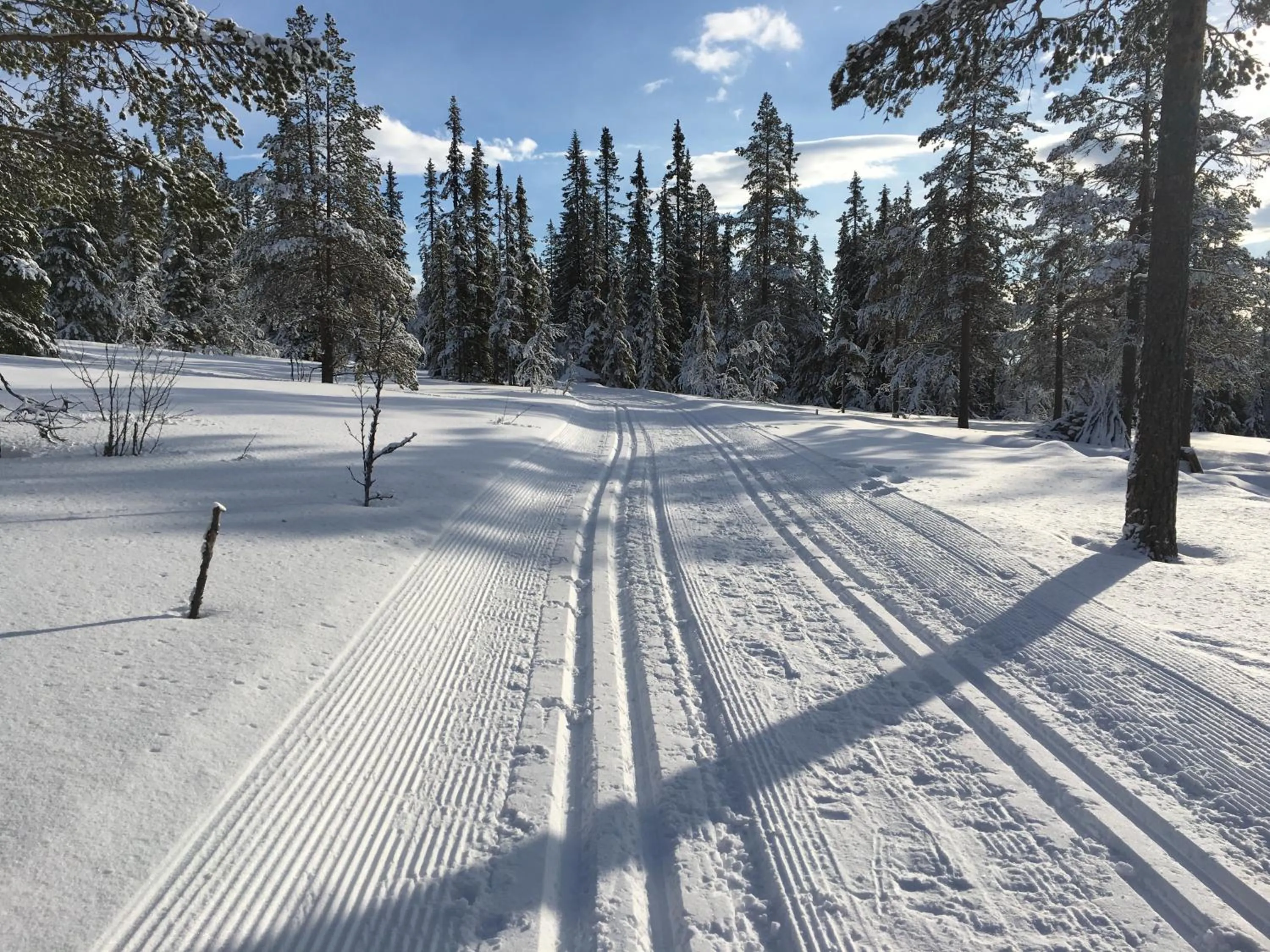 Area and facilities in Lysebu Hotel