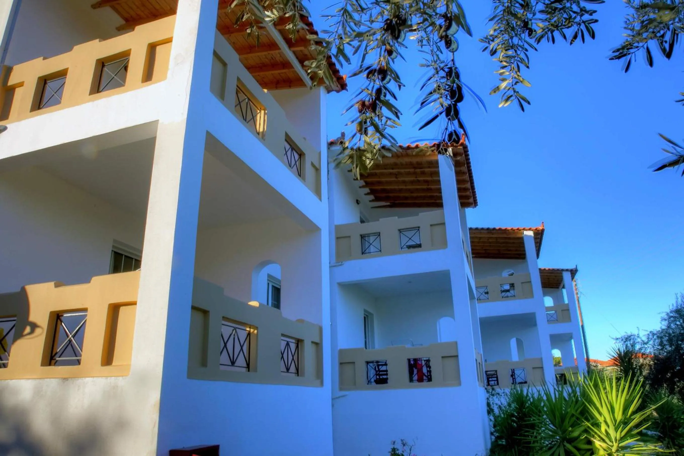 Property building in Elaionas