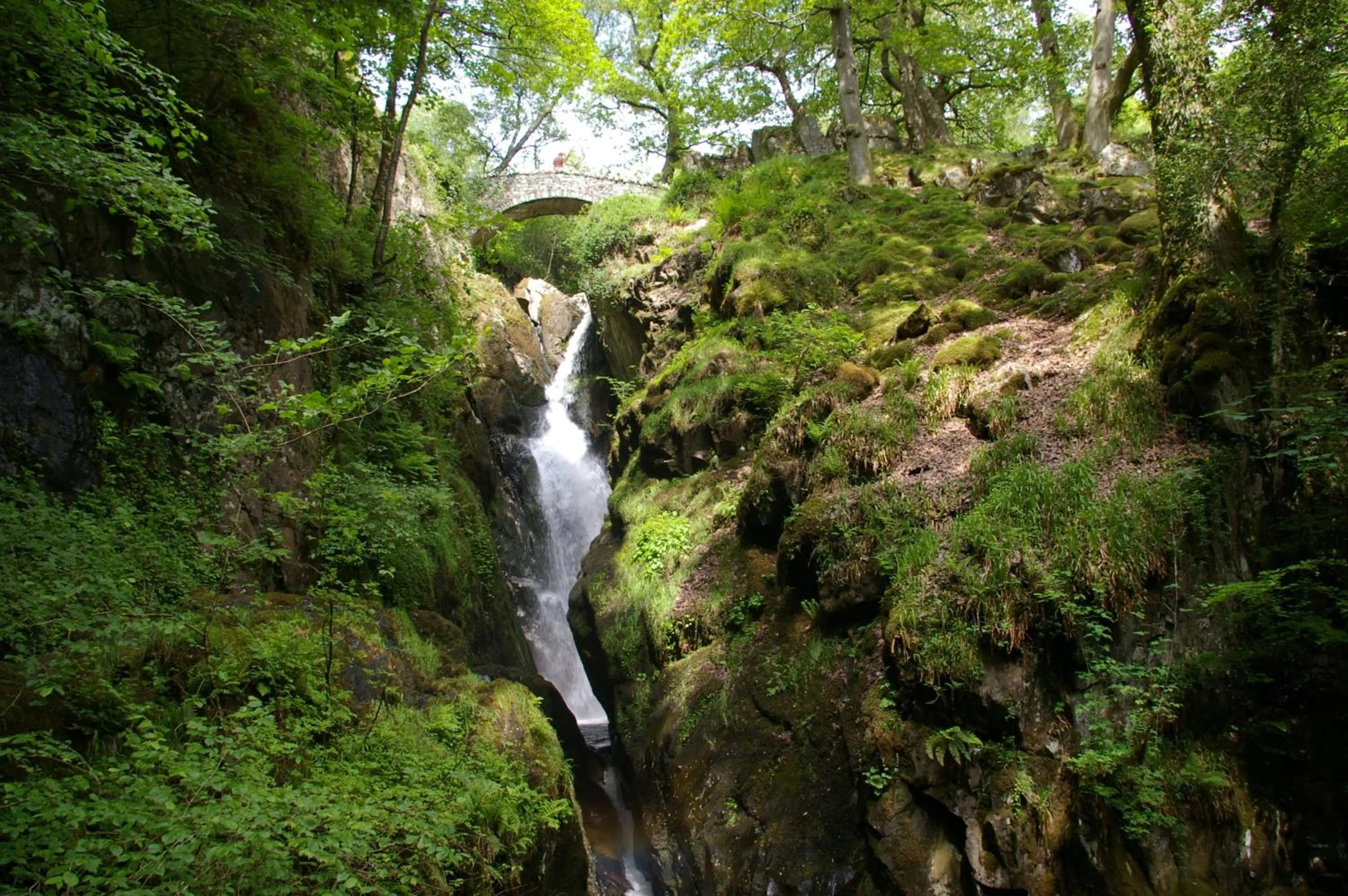 Off site in Waterfoot Park