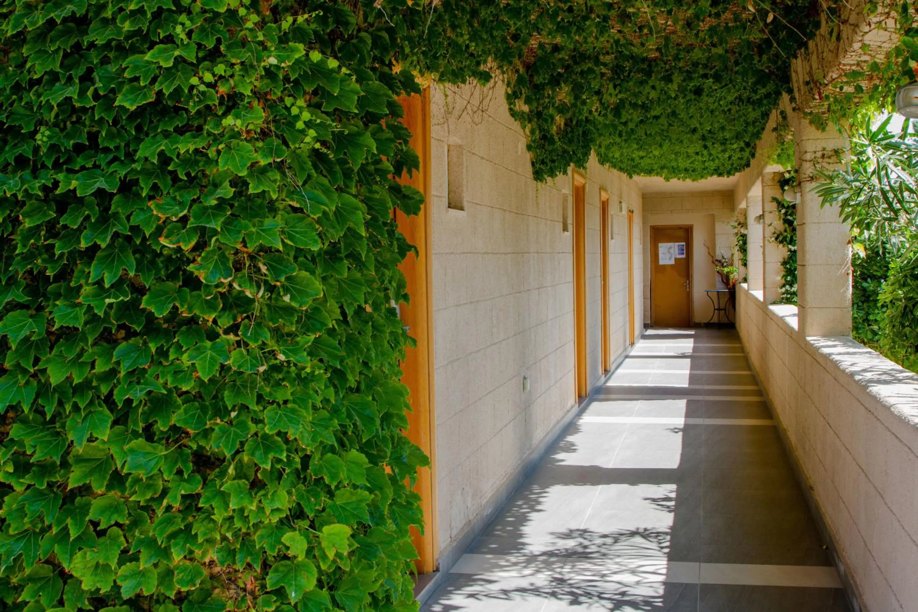 Facade/entrance in Sun Palace Hotel