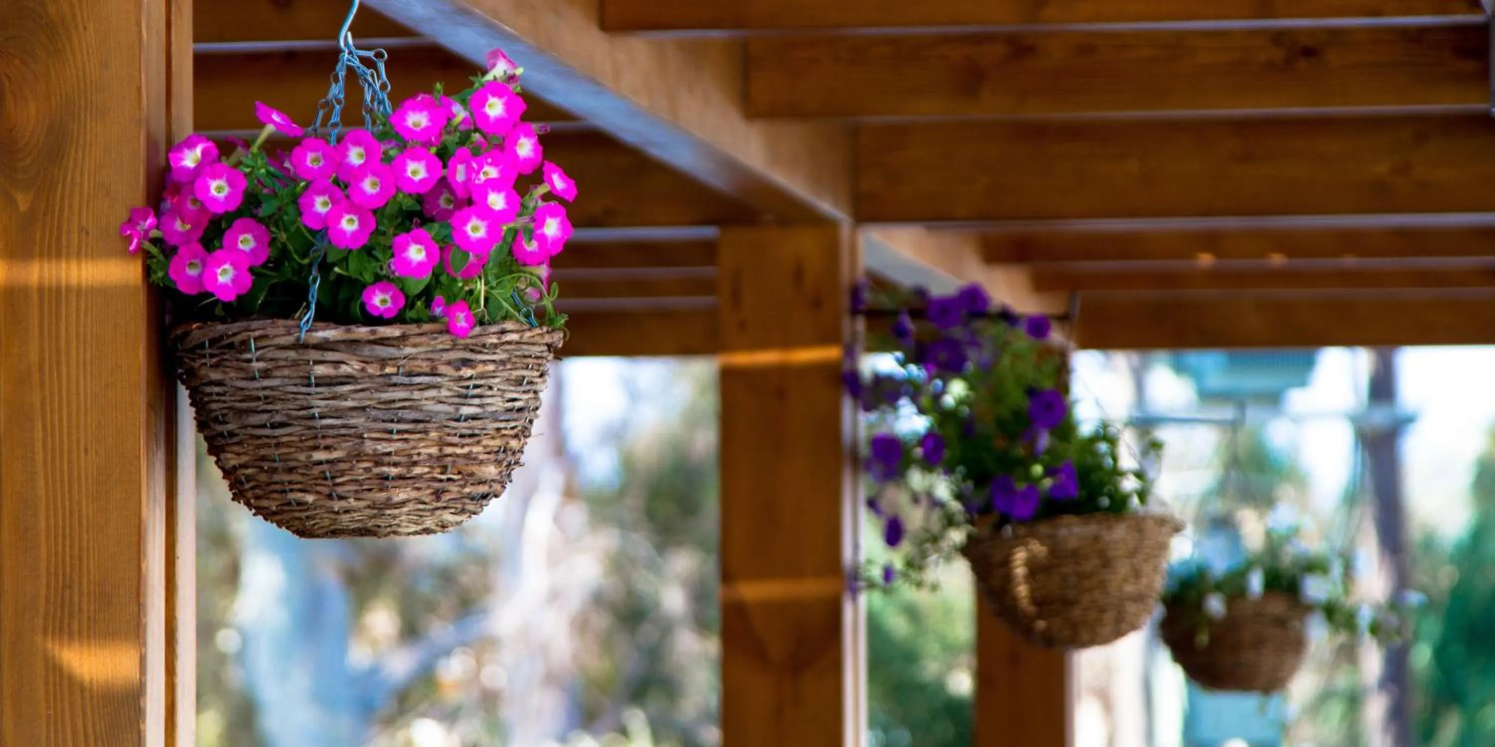 Facade/entrance in Sun Palace Hotel