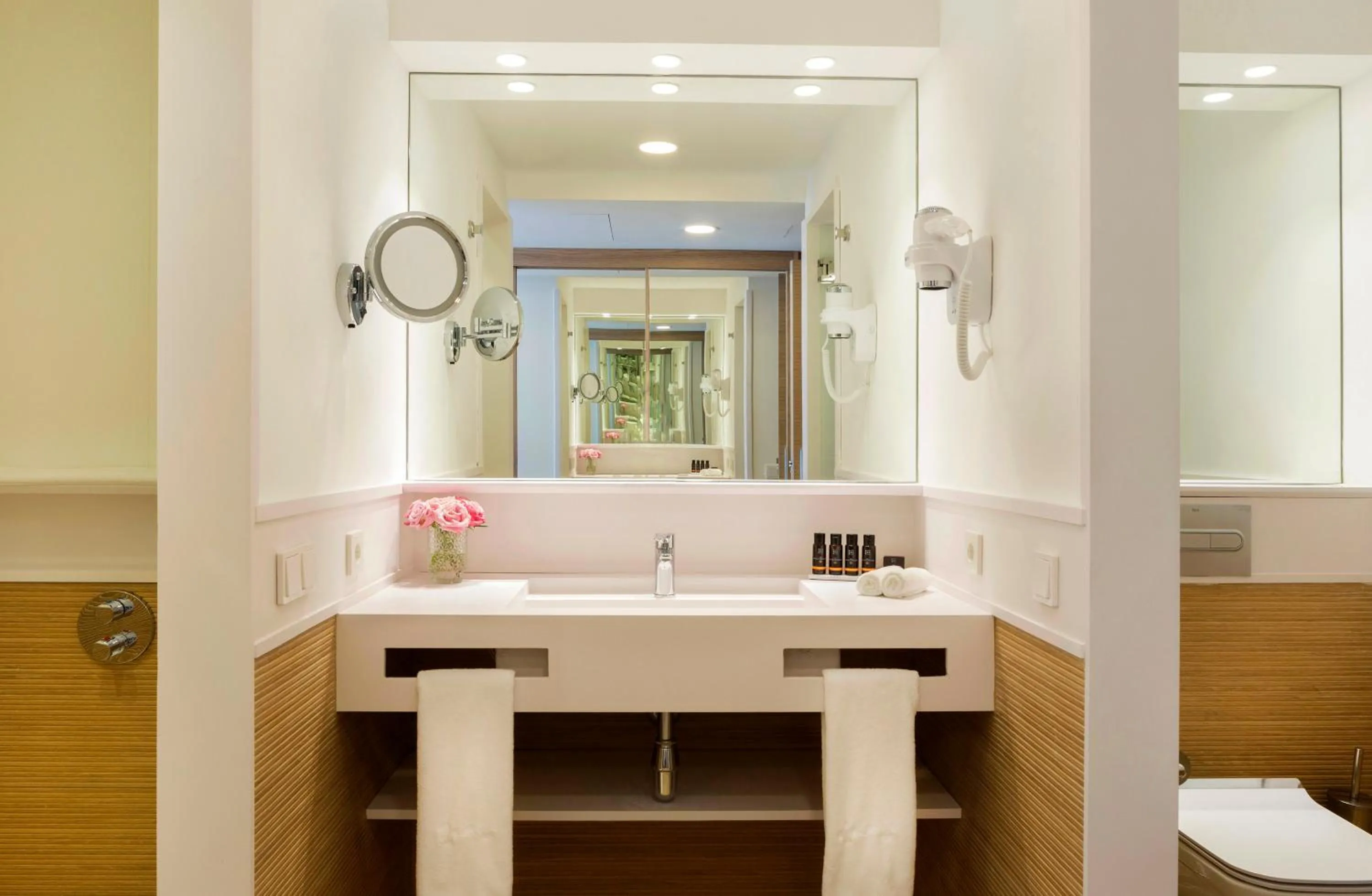 Toilet in Hotel Costa Brava