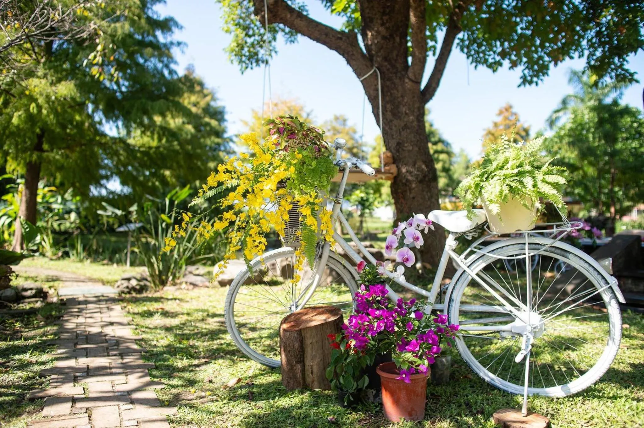 Garden view in Yosemite Homestay
