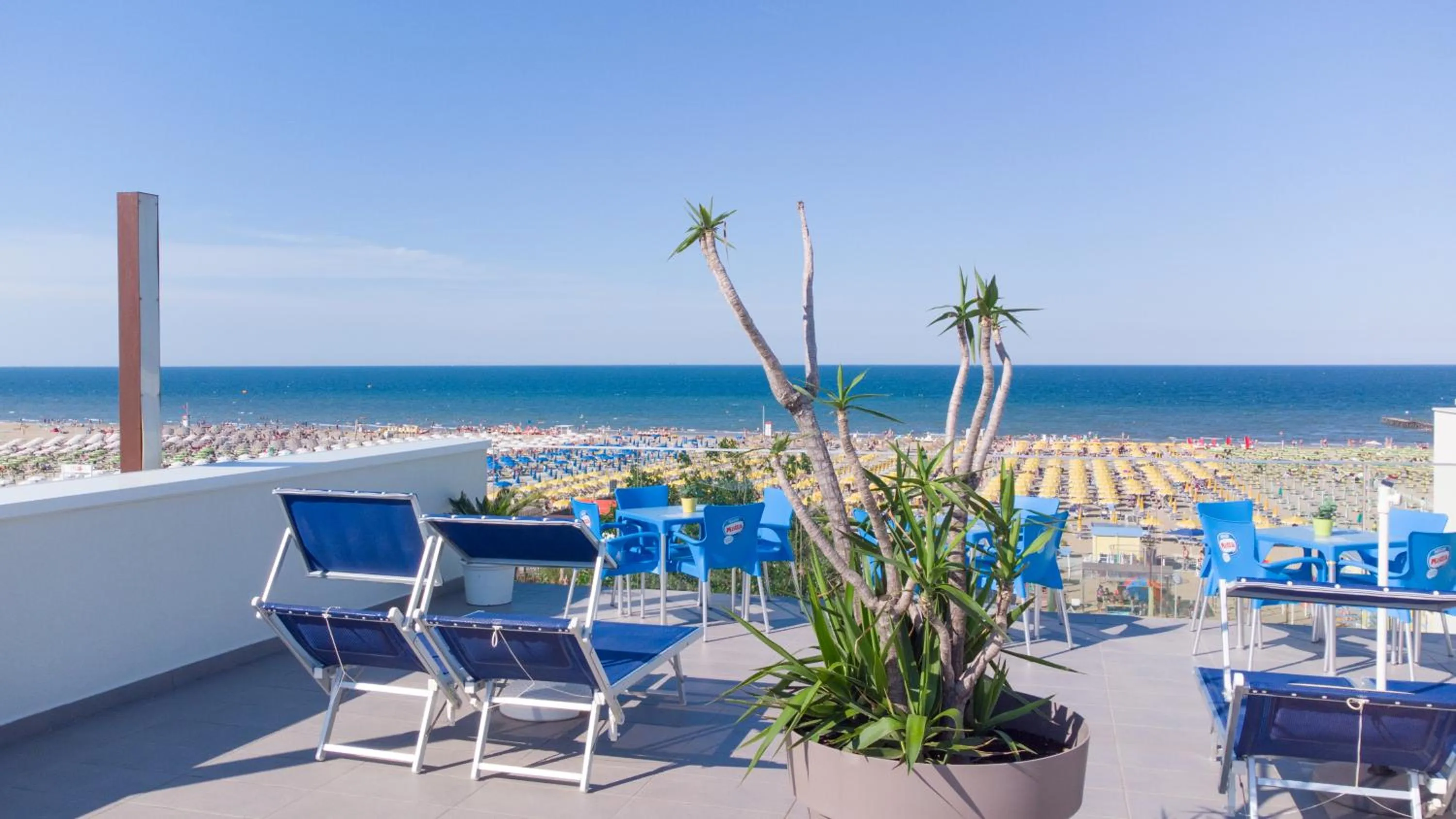 Beach in Hotel Nuova Medusa Rimini