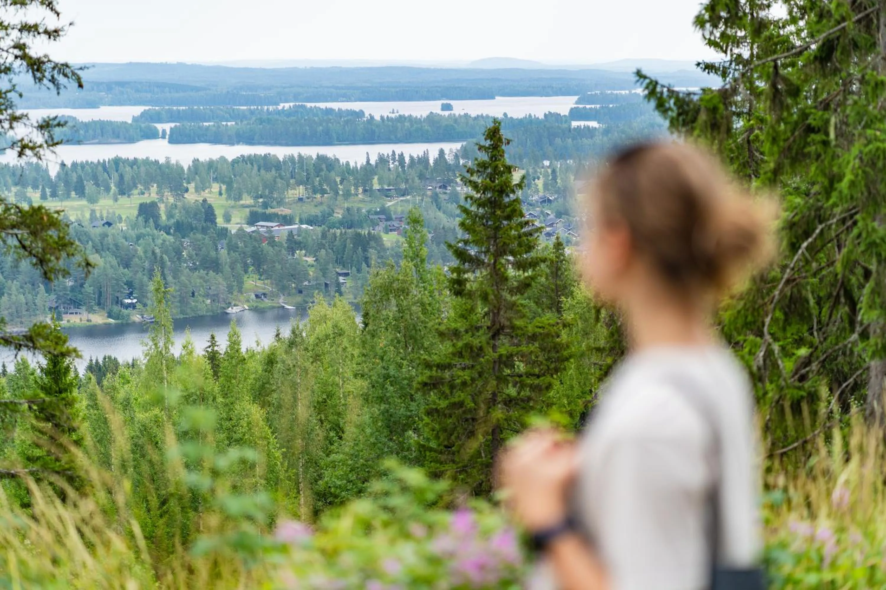 Natural landscape in Break Sokos Hotel Tahko