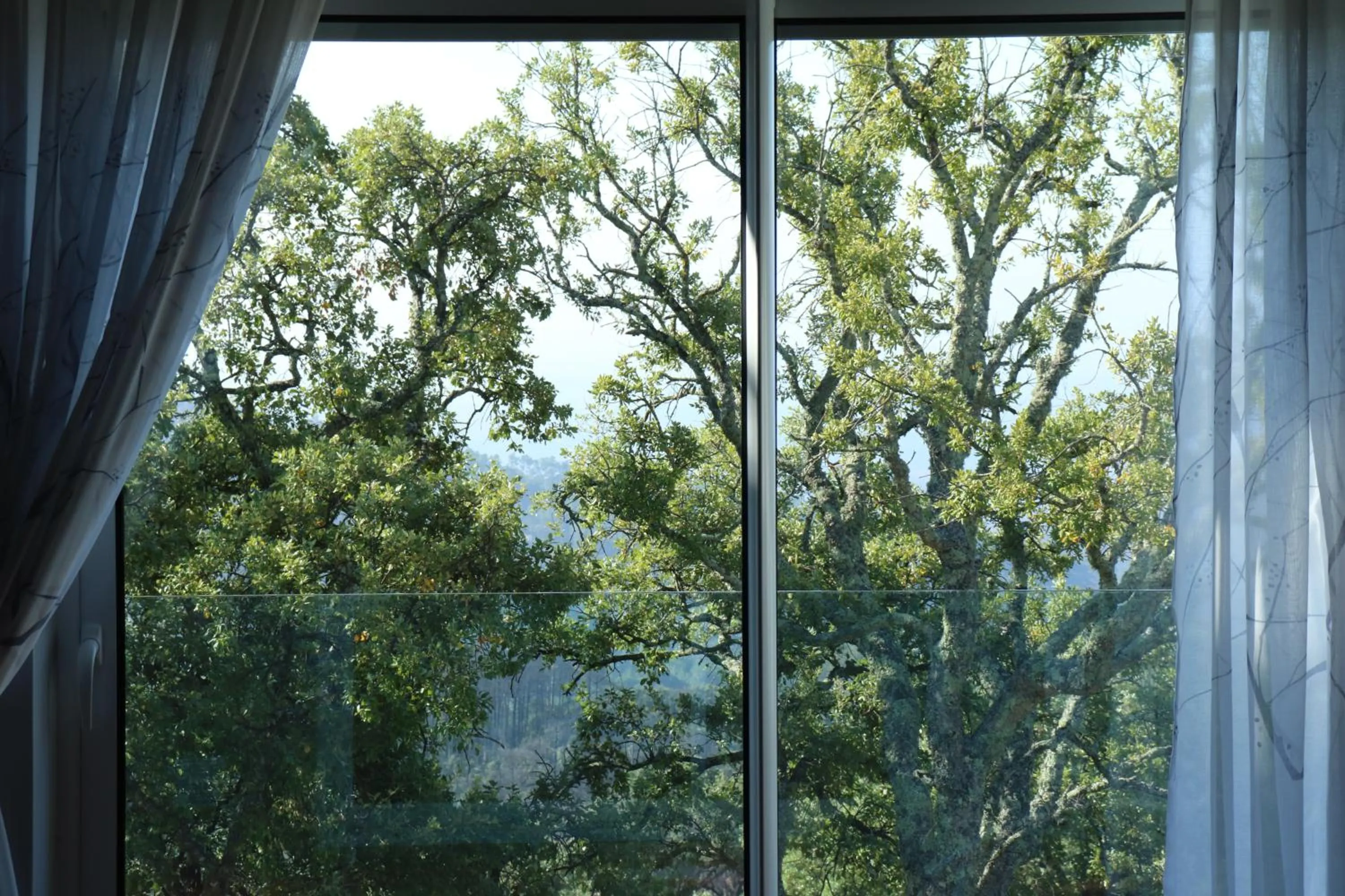 Natural landscape in VilaFoia