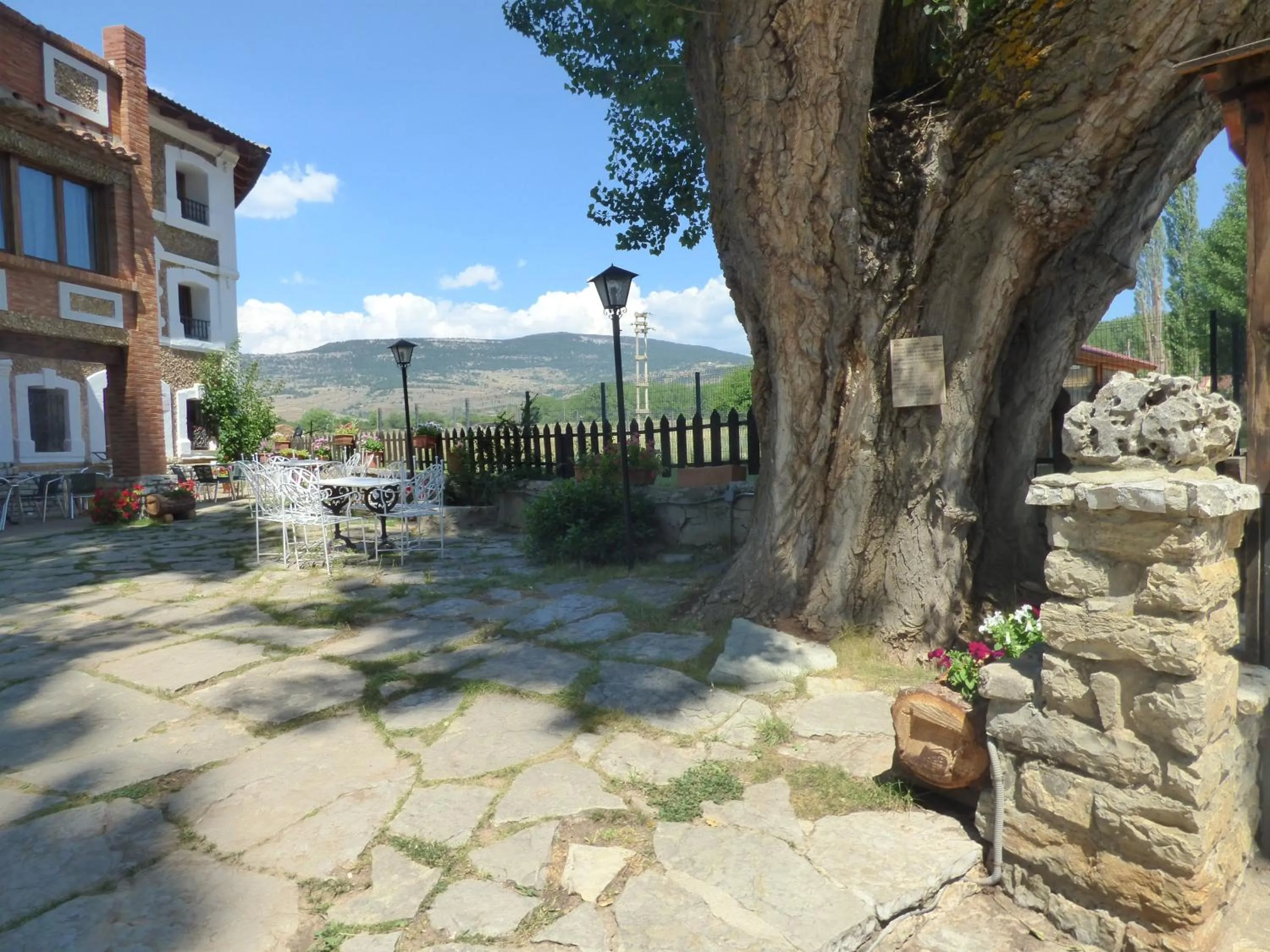 Garden in Hotel La Vega