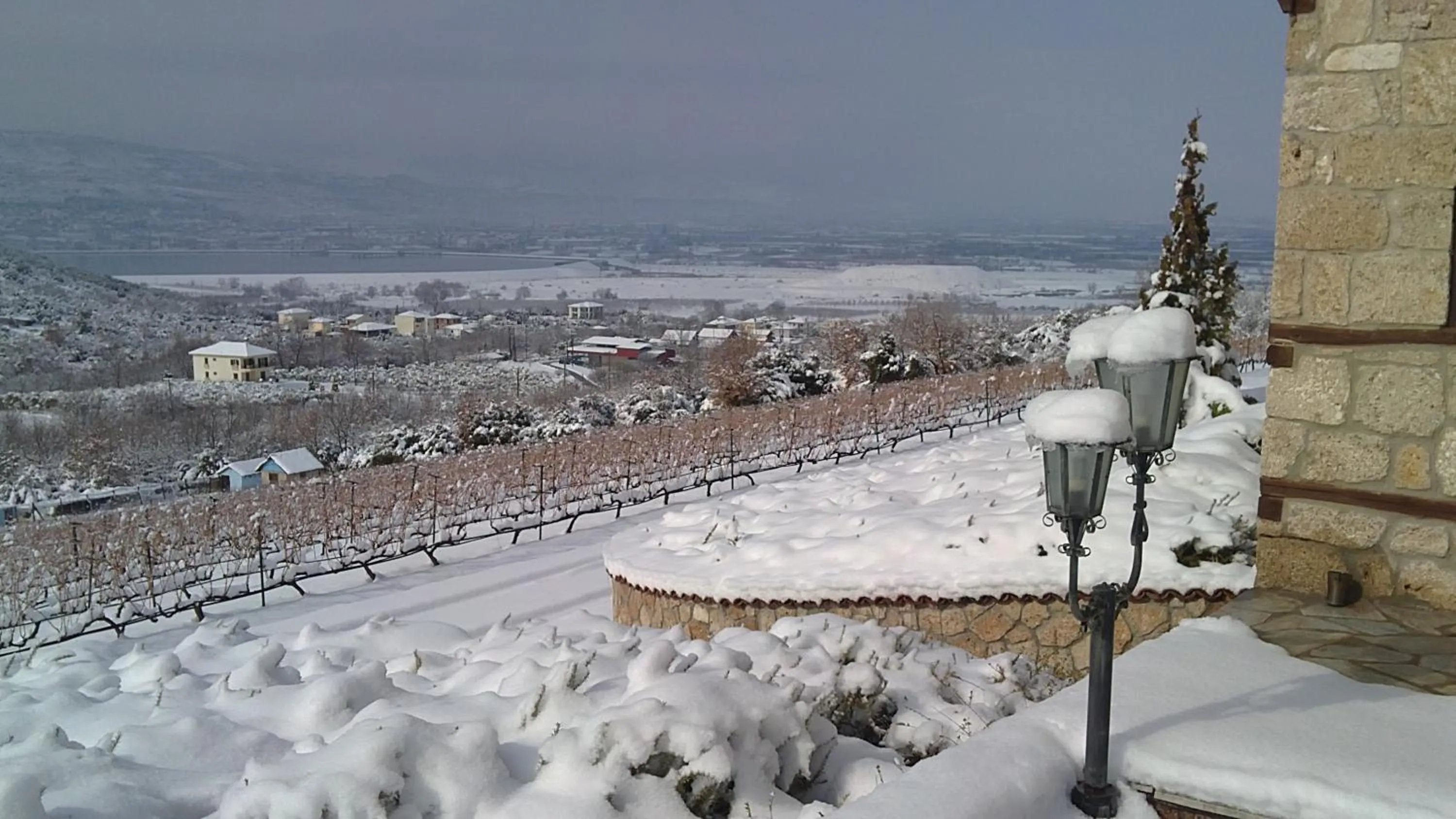 Day in Estate Kalaitzis