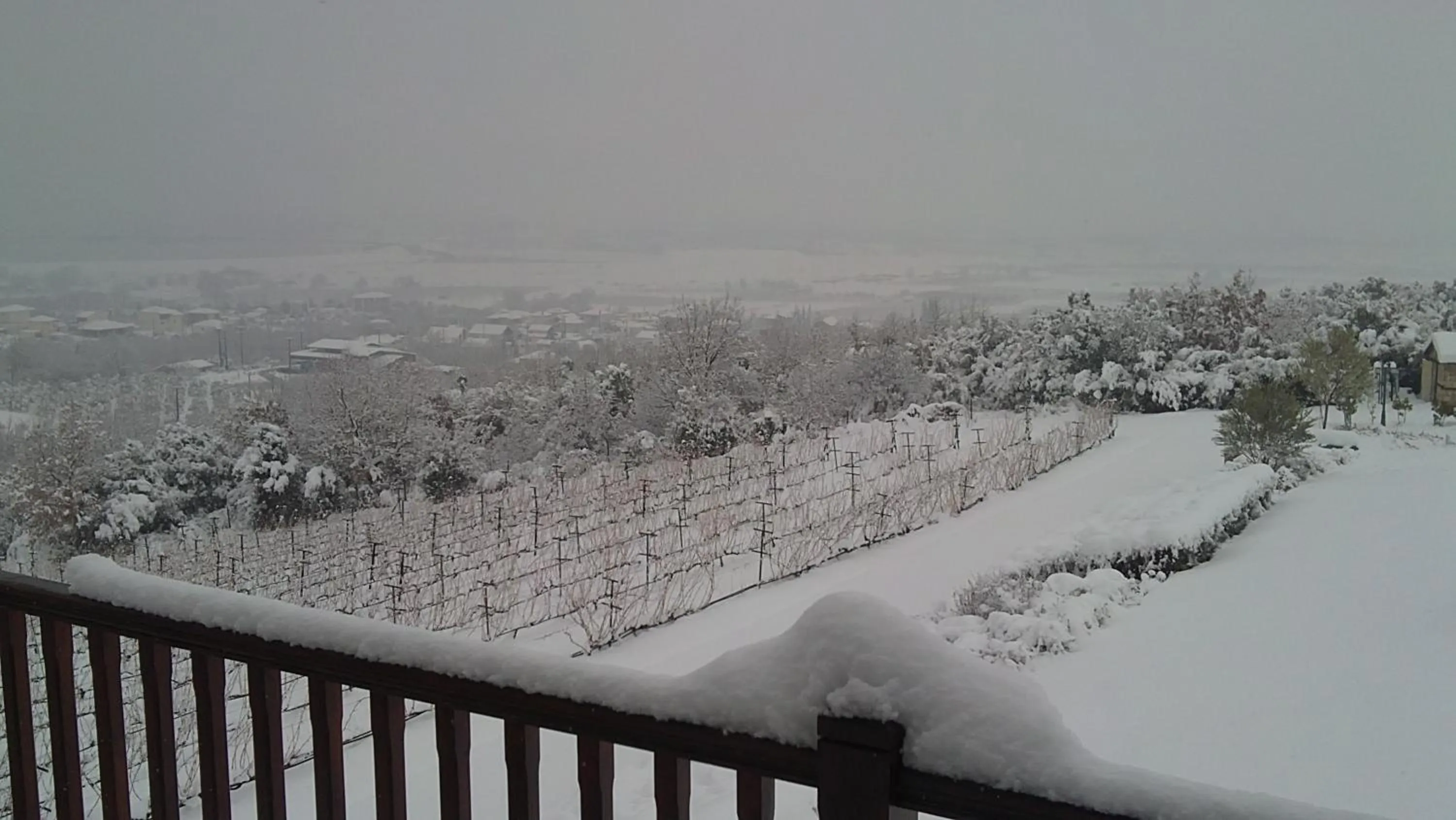 On site in Estate Kalaitzis