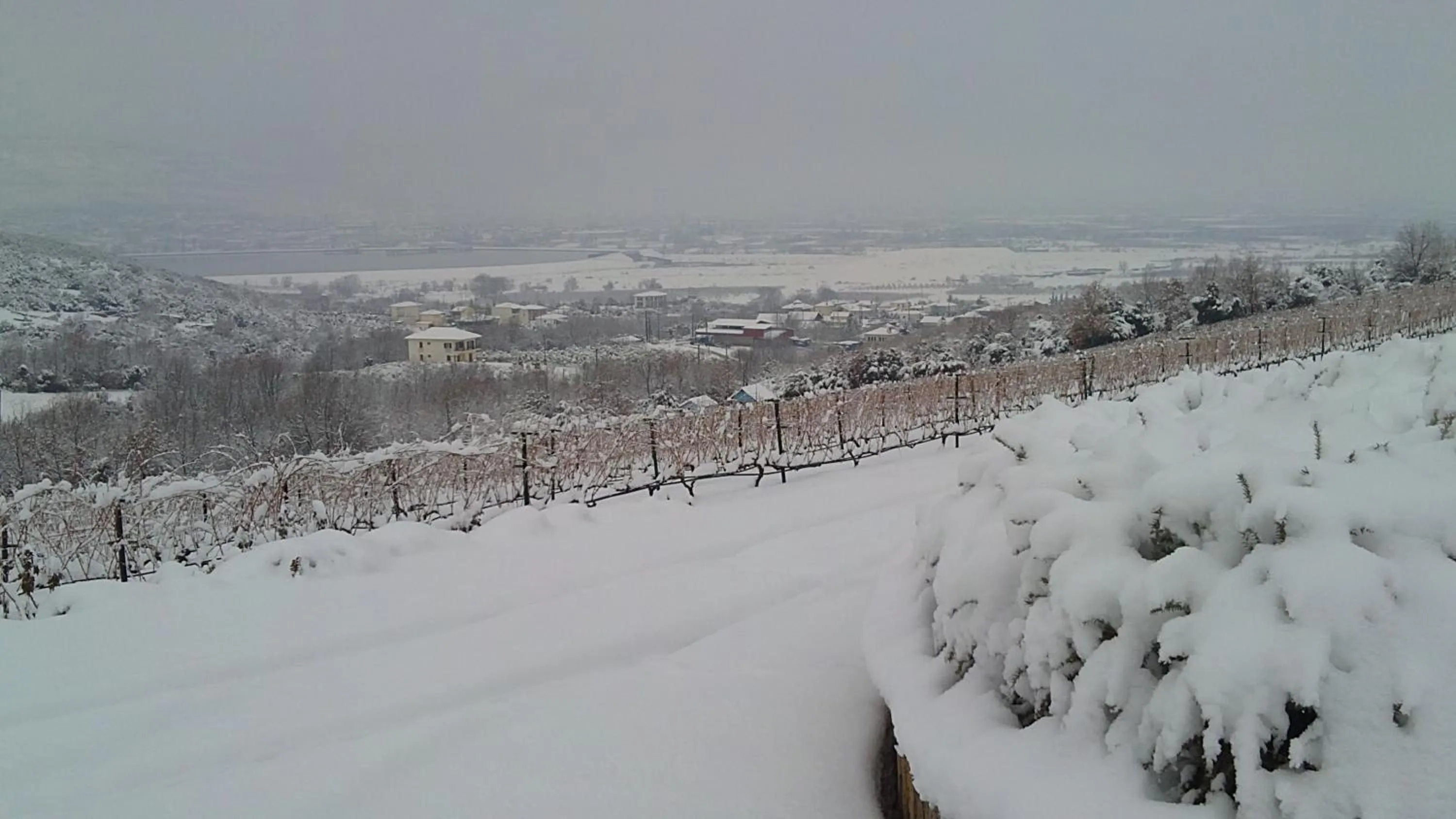 On site in Estate Kalaitzis