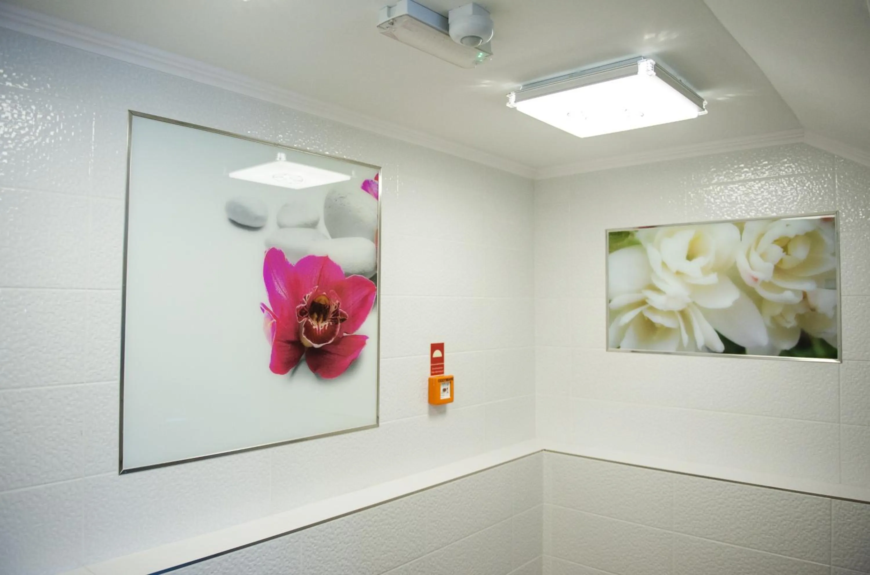 Pensjonat Pod Kogutami