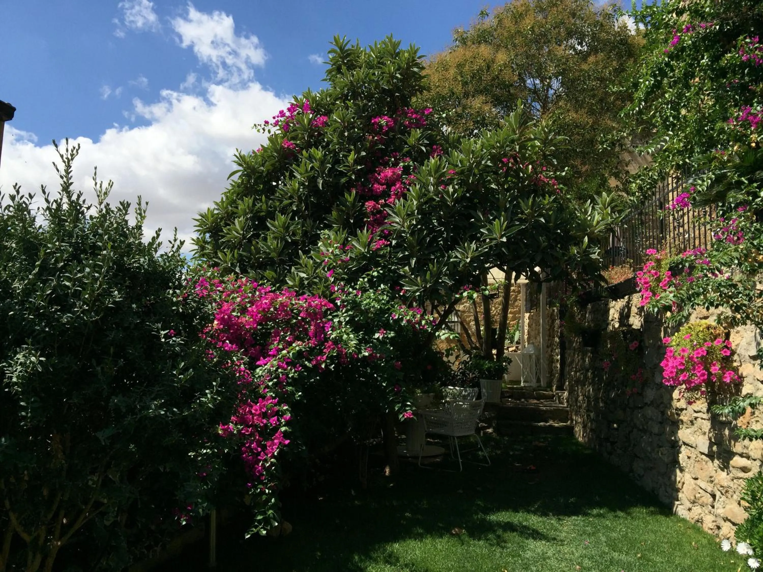 Garden in Giardino delle Zagare