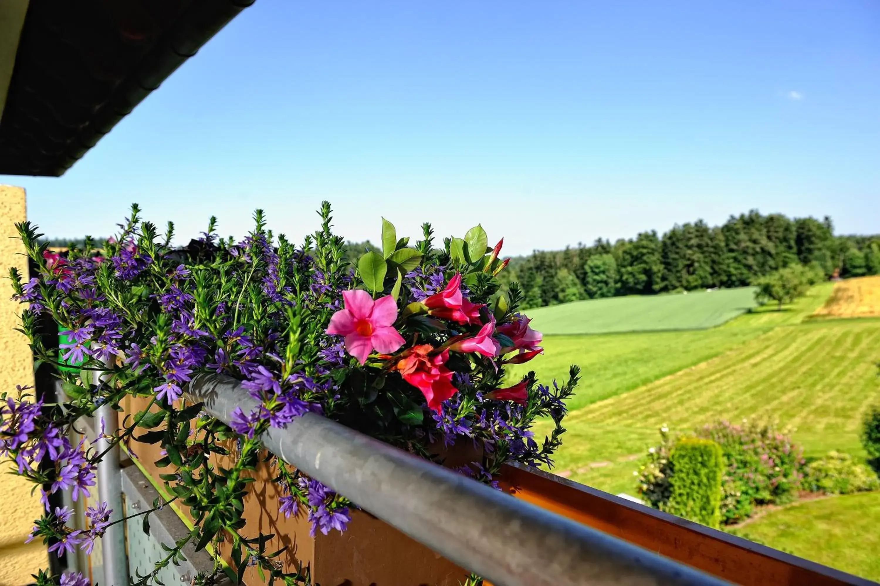 Deluxe Double Room with Balcony in Landhotel Talblick Deluxe Double Room with Balcony in Landhotel Talblick