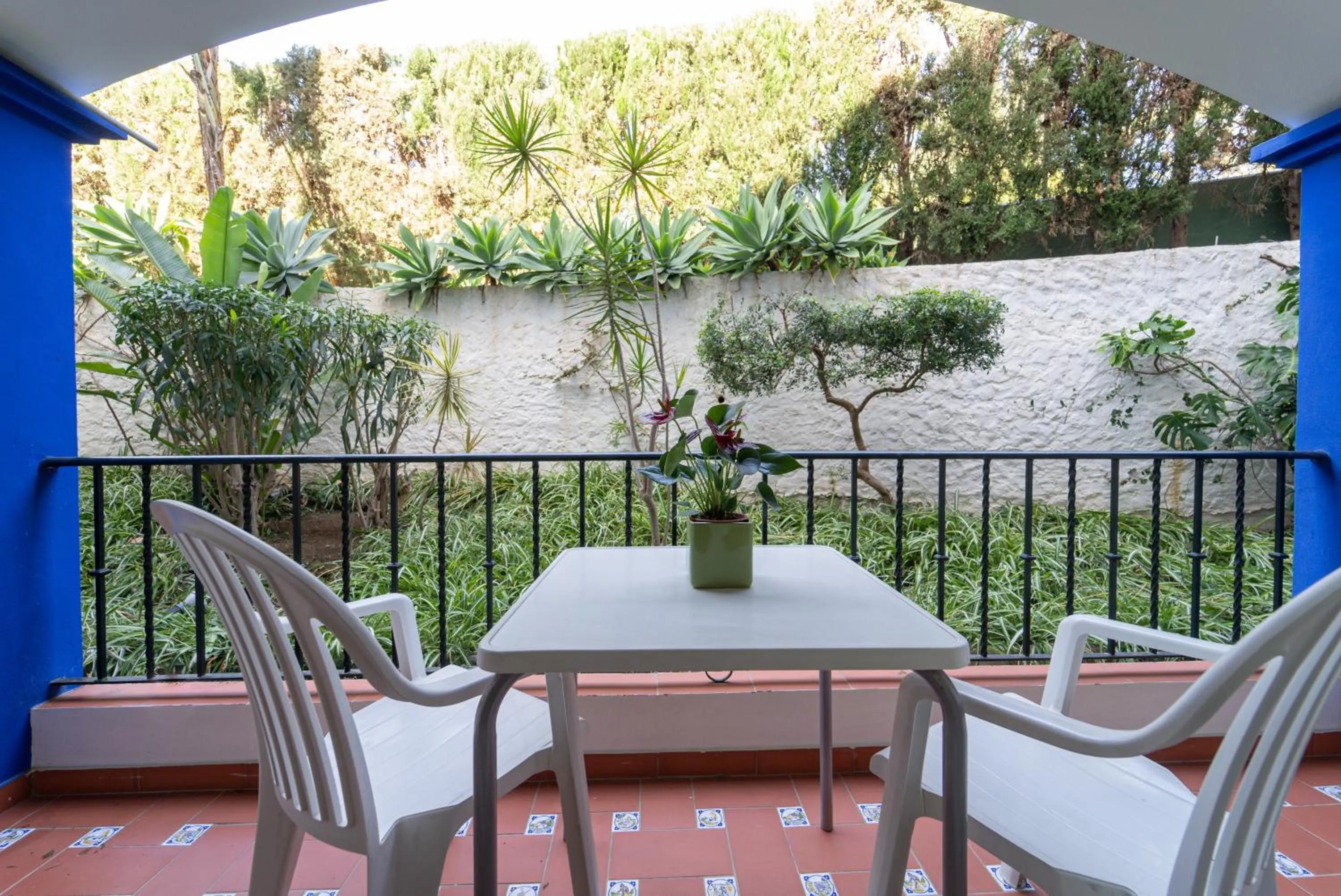 Garden in Hotel Piedra Paloma