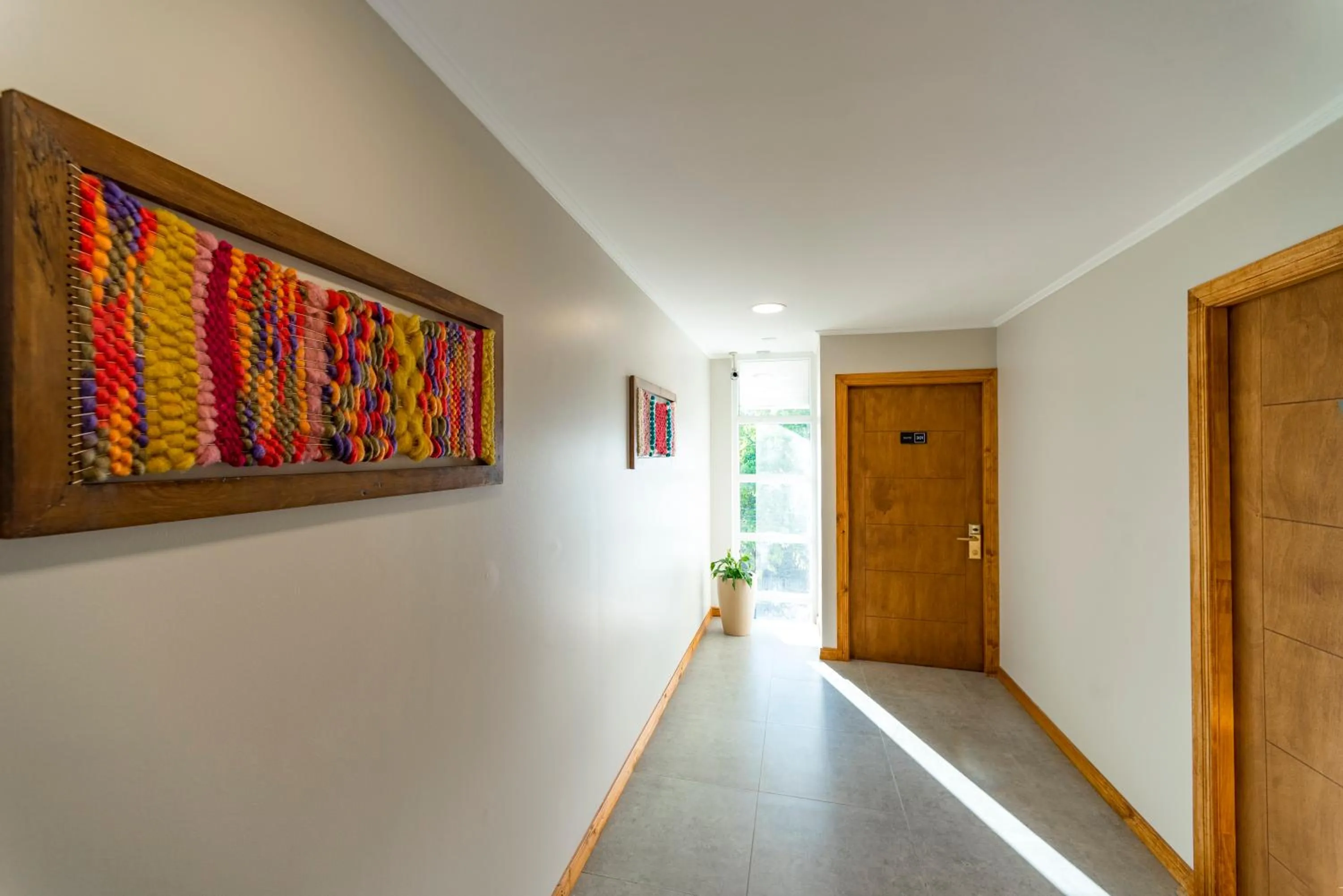 Area and facilities in Hotel Insigne