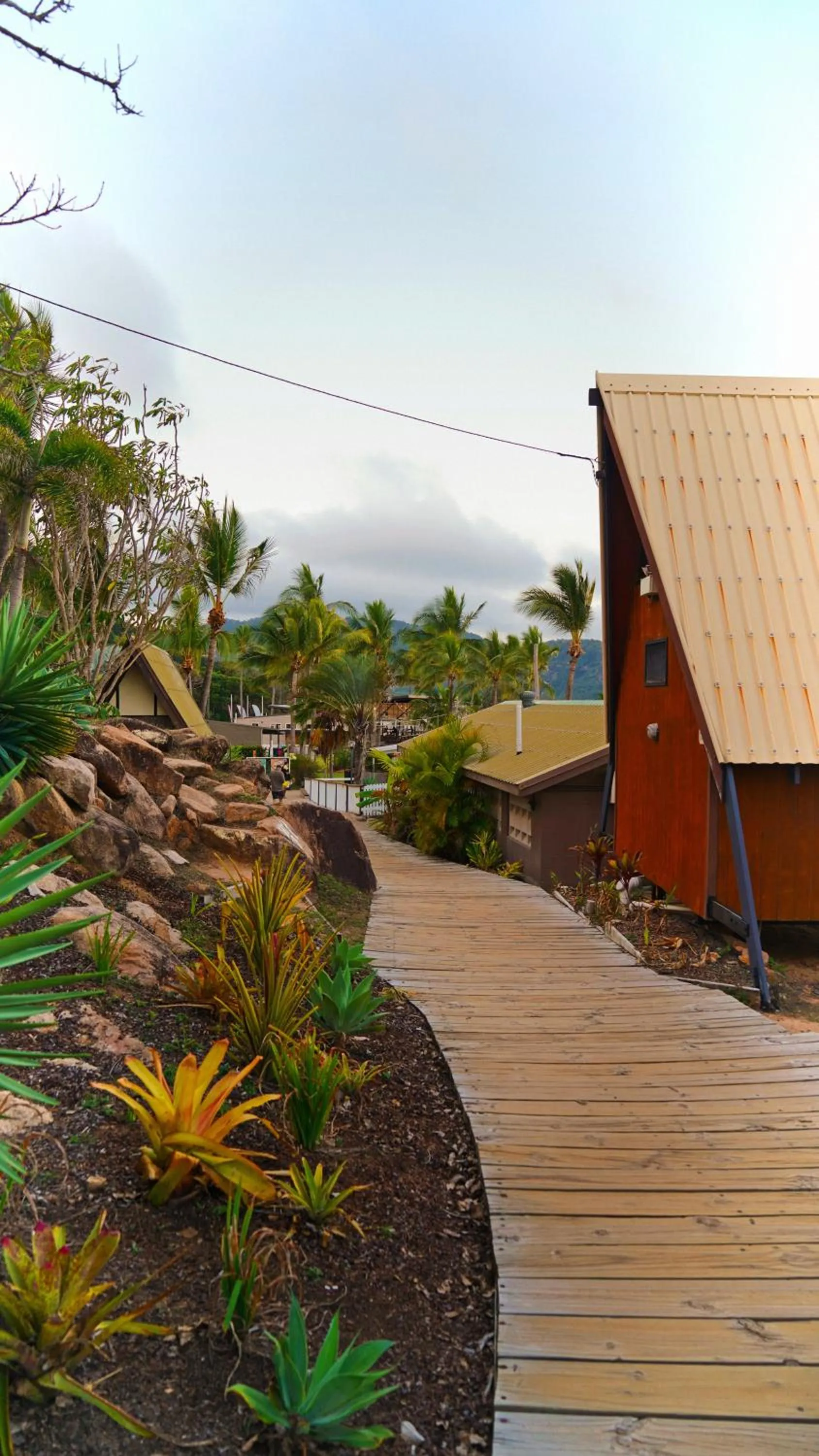Garden in Nomads Magnetic Island