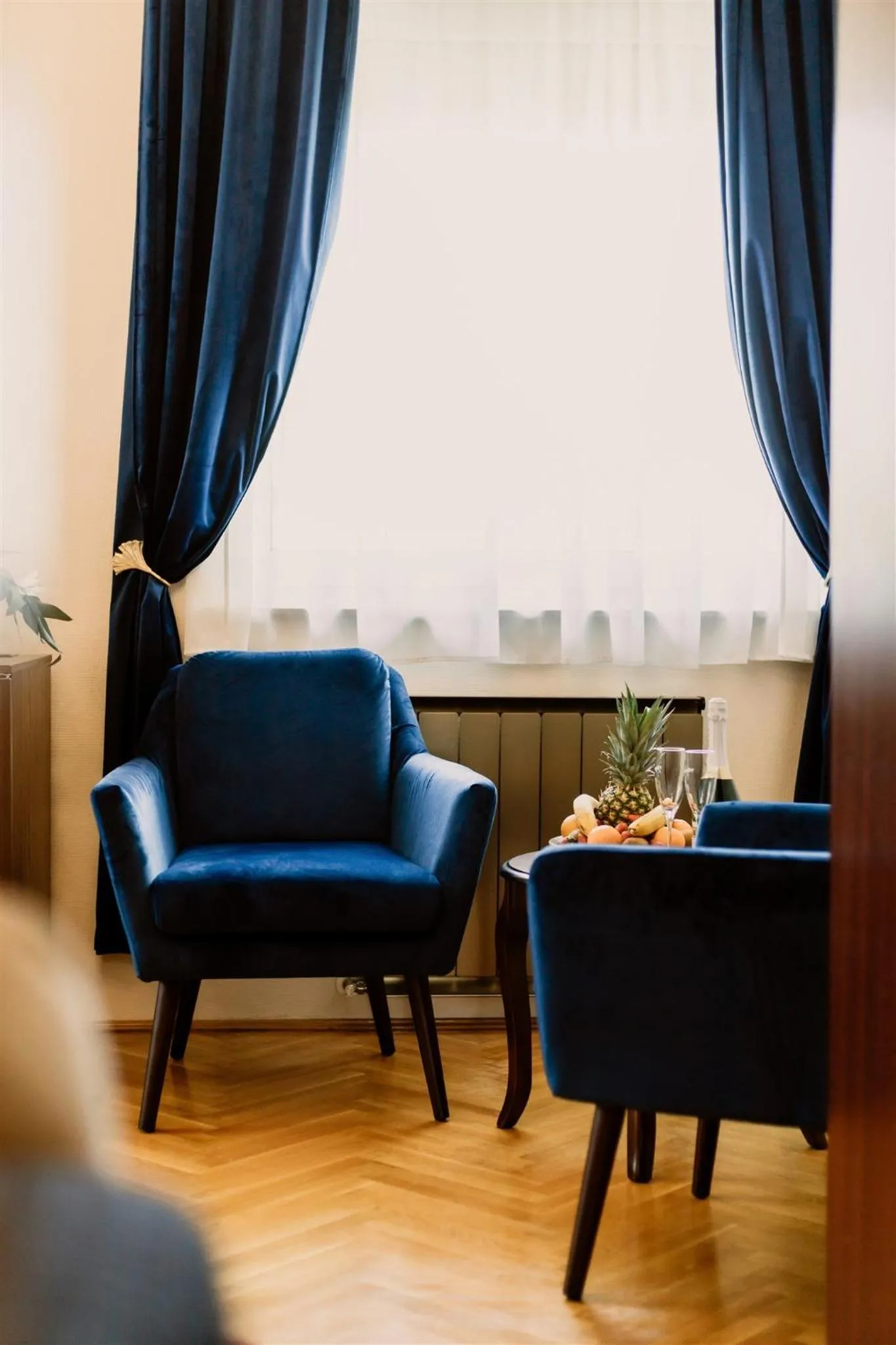 Living room in Korona Pension and Restaurant