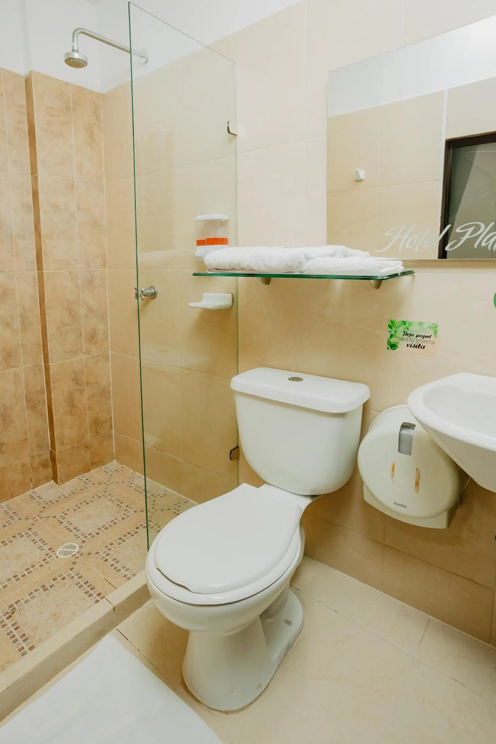 Shower in Hotel Plataneras Plaza