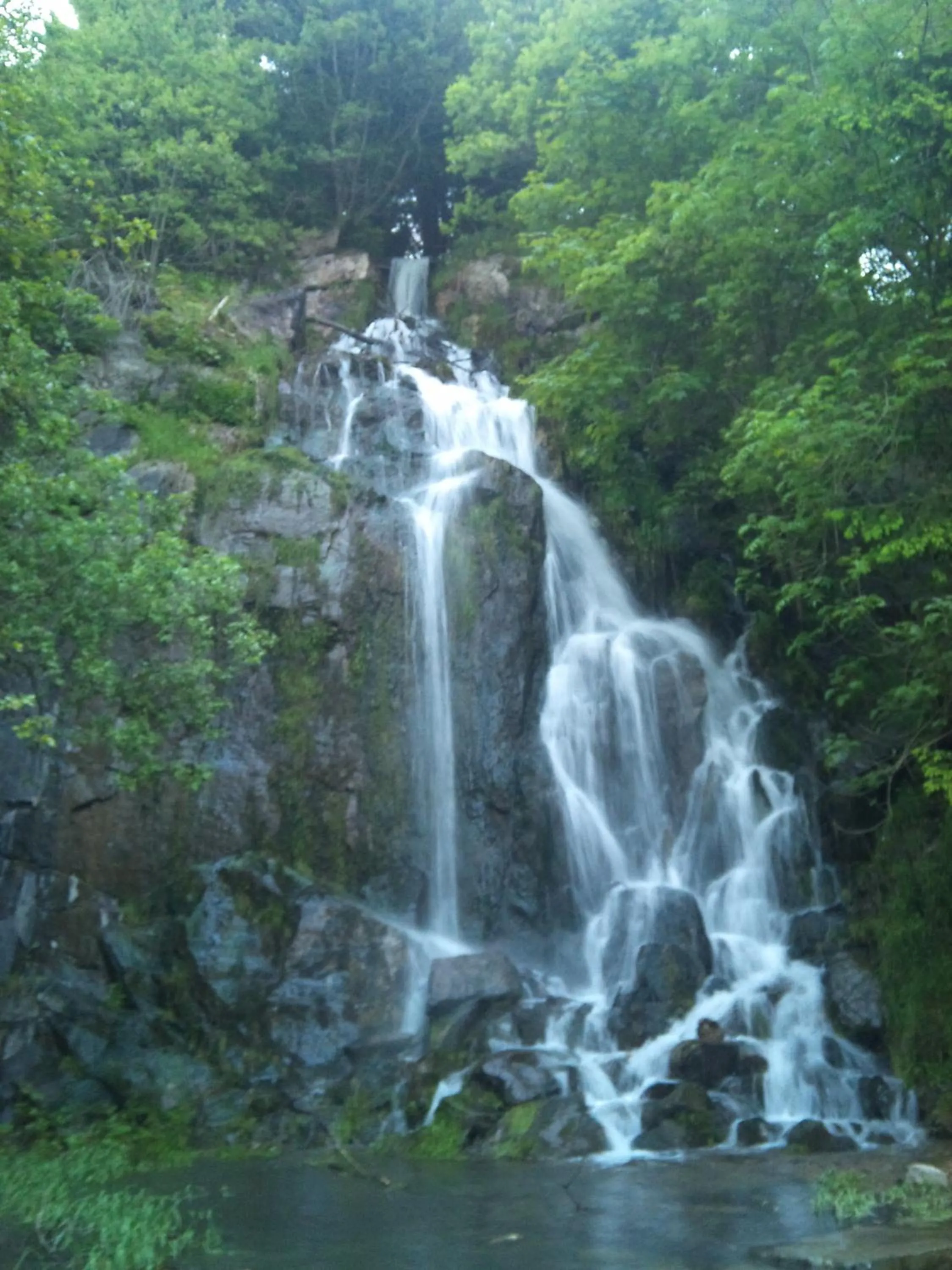 Area and facilities in Schlosshotel Blankenburg