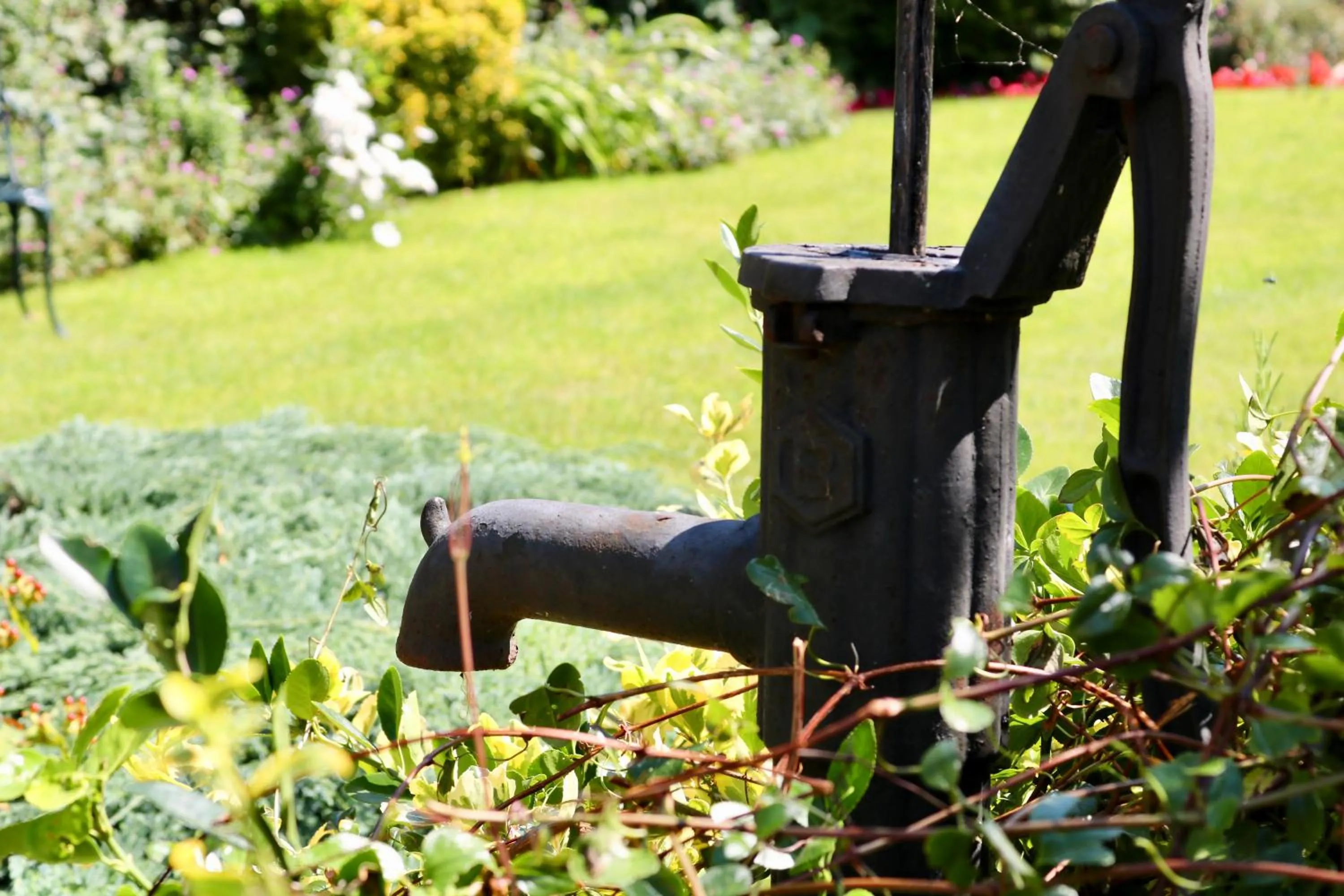 Garden in The Cottage Hotel