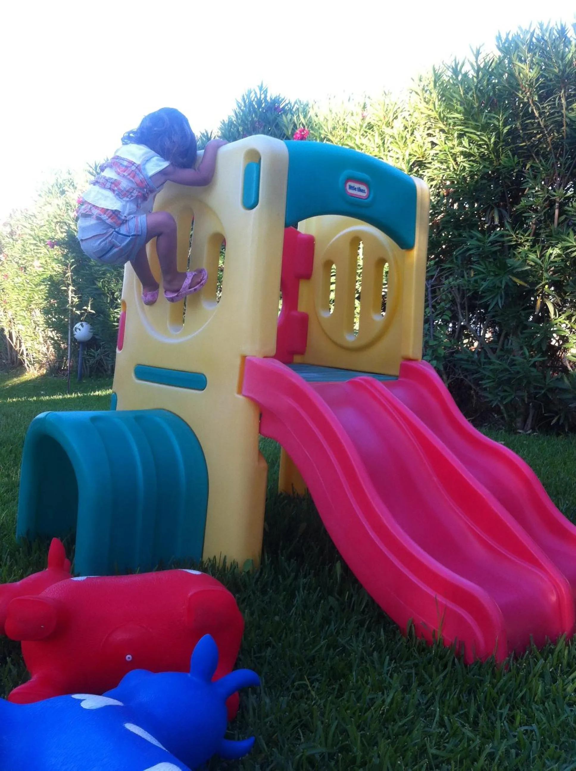 Garden in Studios Petra