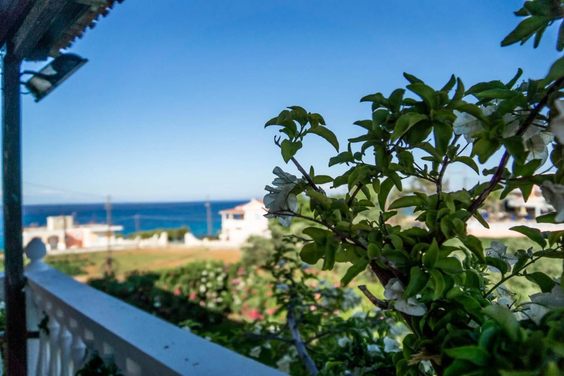 Sea view in Studios Petra