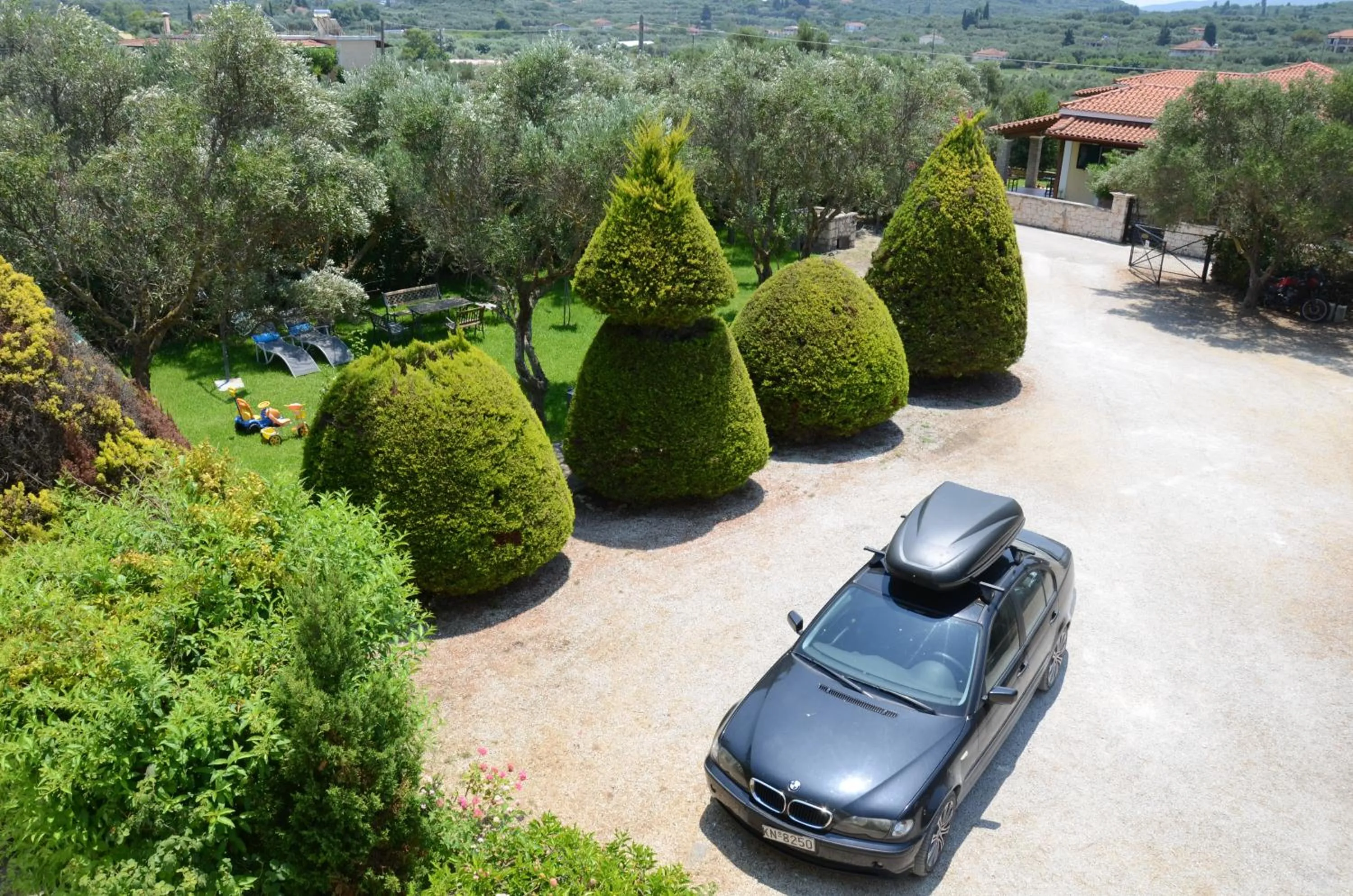 Other in Studios Petra