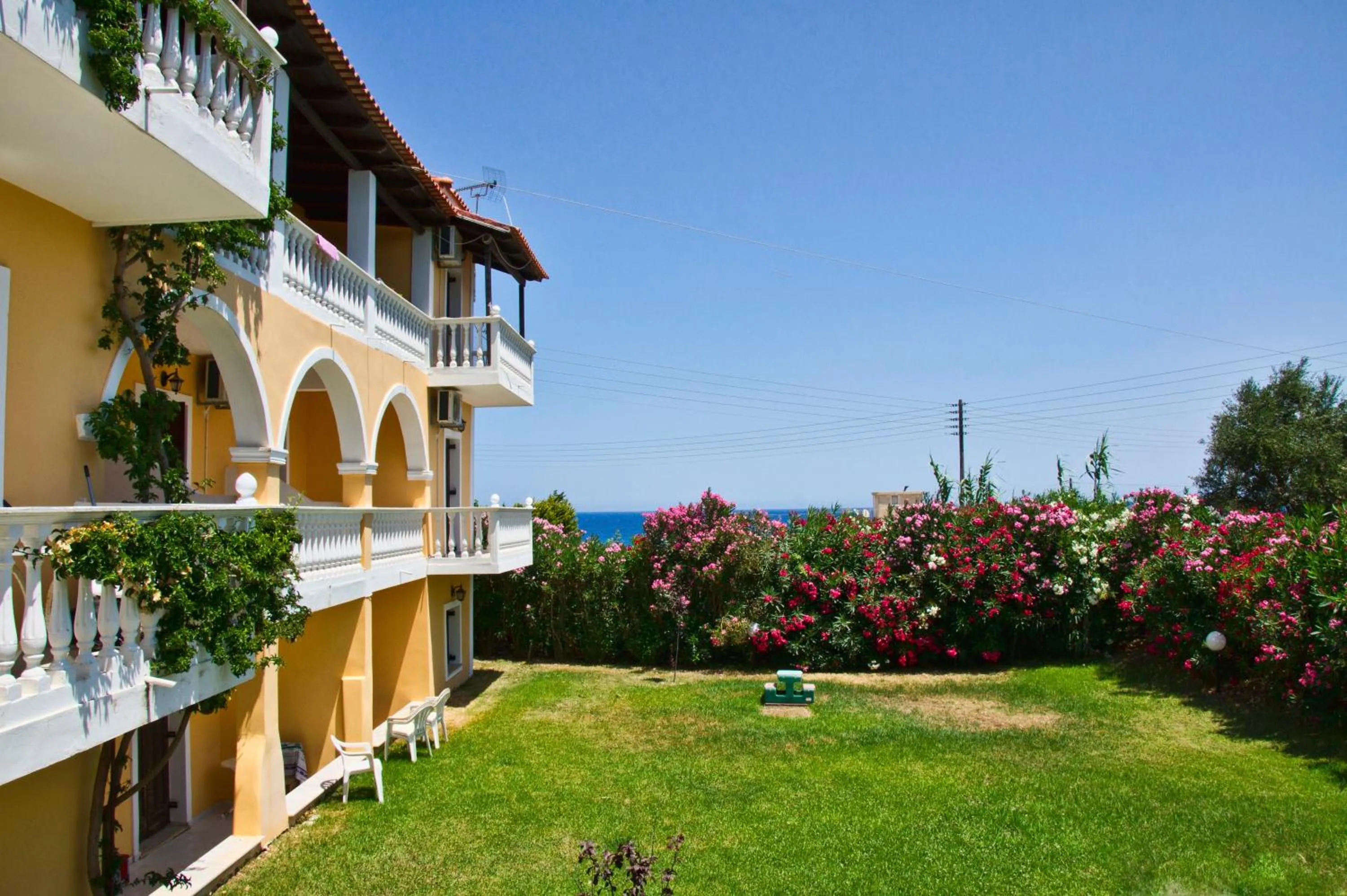 Garden in Studios Petra