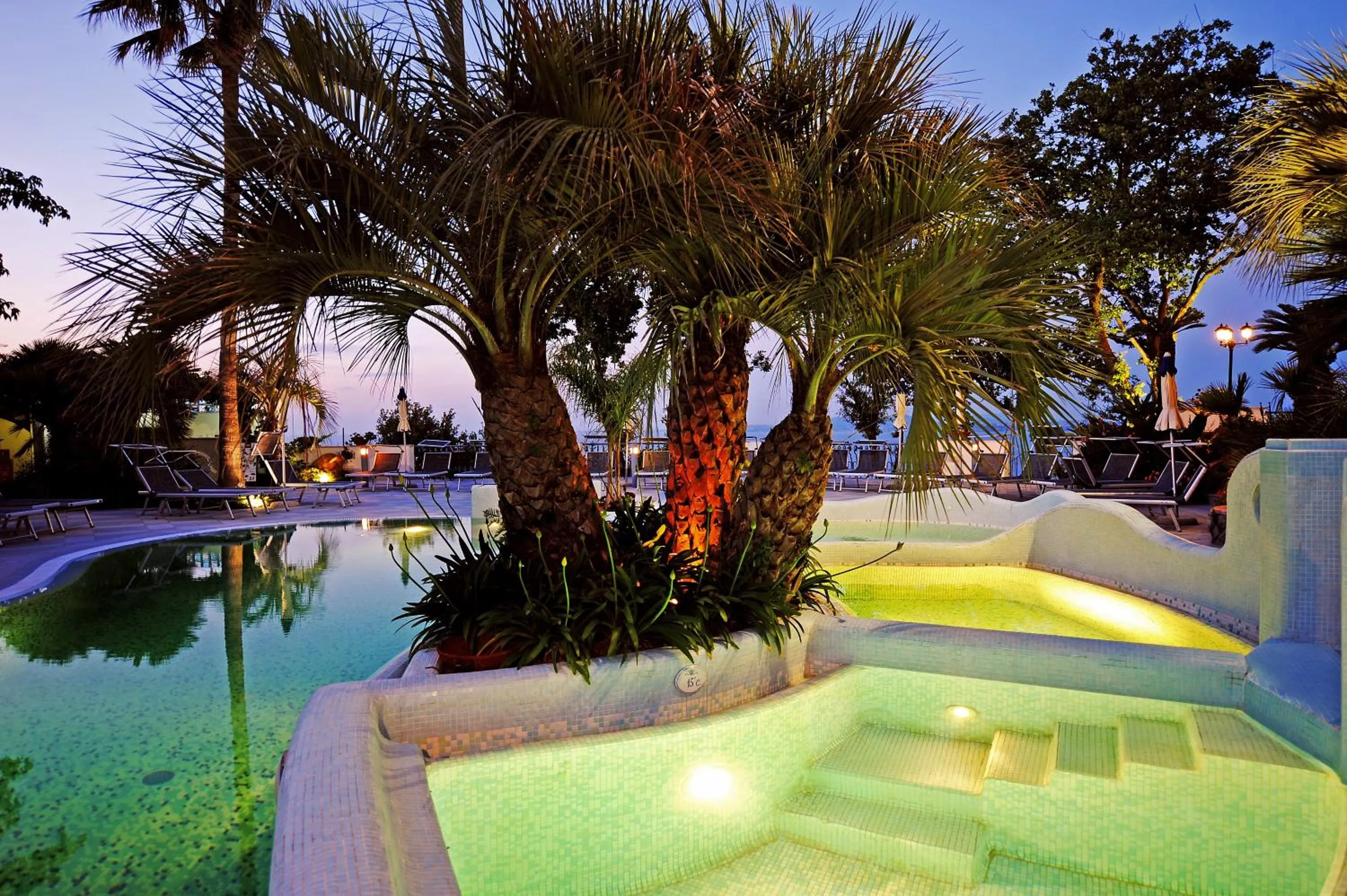 Swimming pool in Hotel Myage