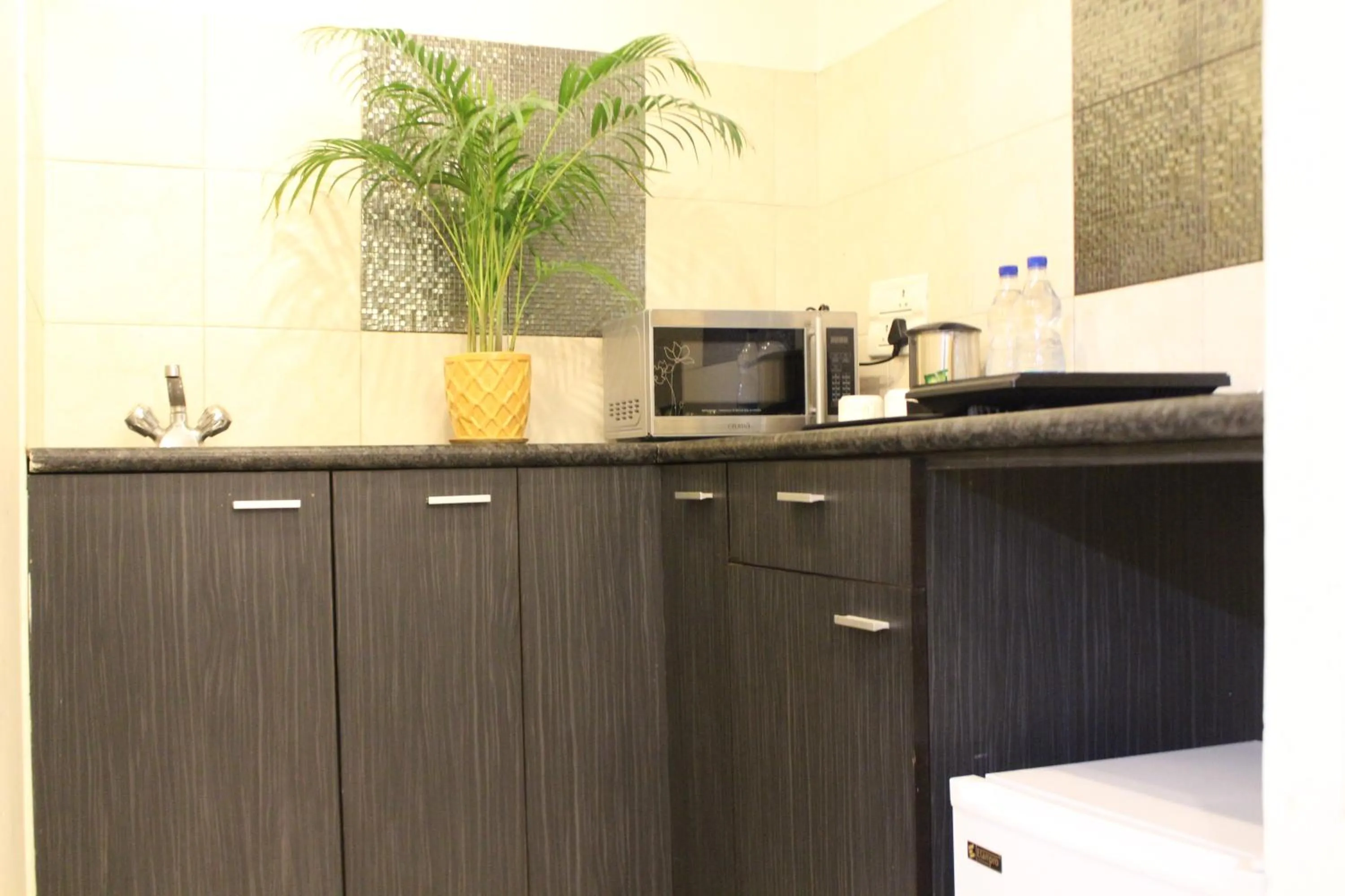 Kitchen or kitchenette in Hotel Imperial Park