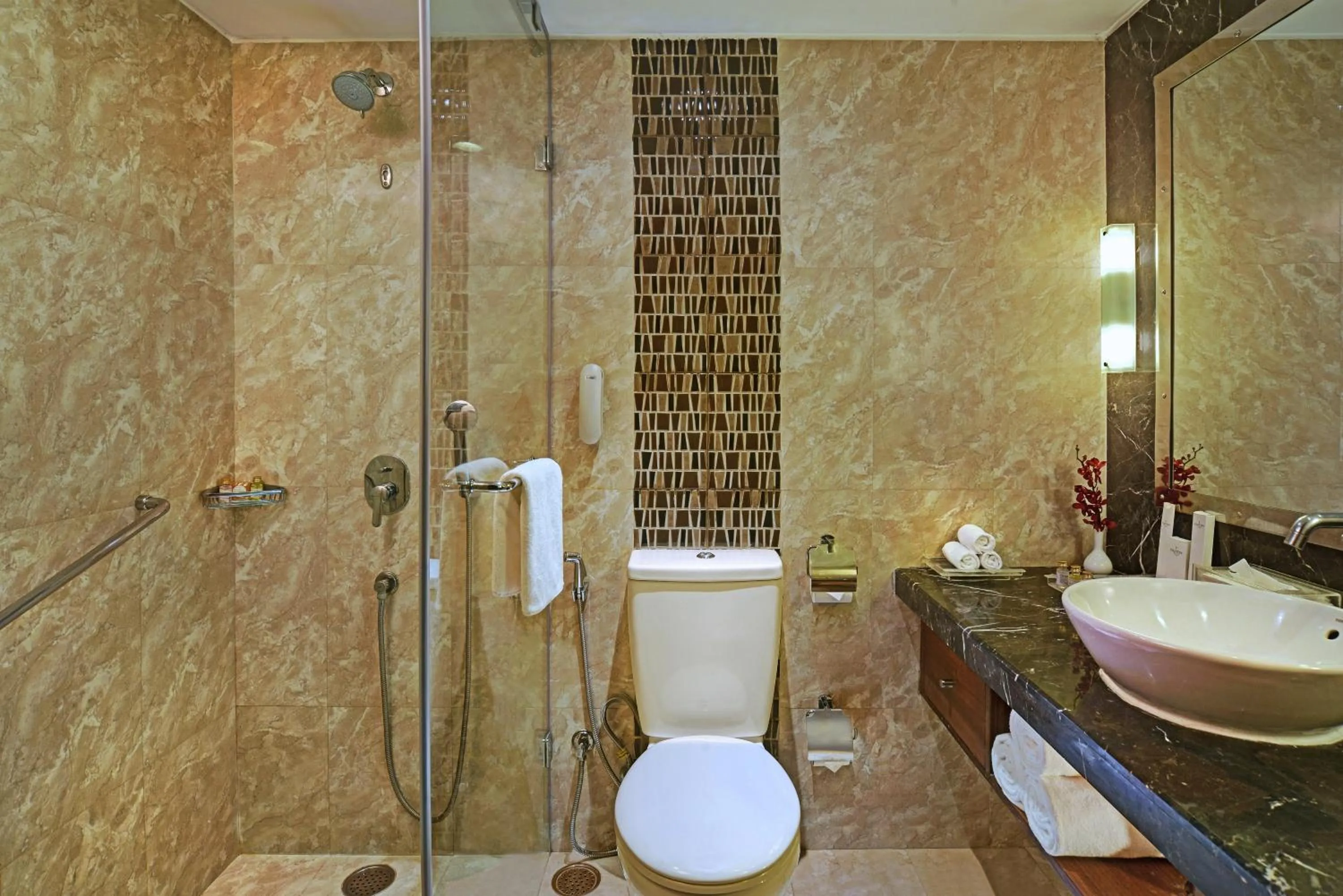 Bathroom in Radisson Jaipur City Center