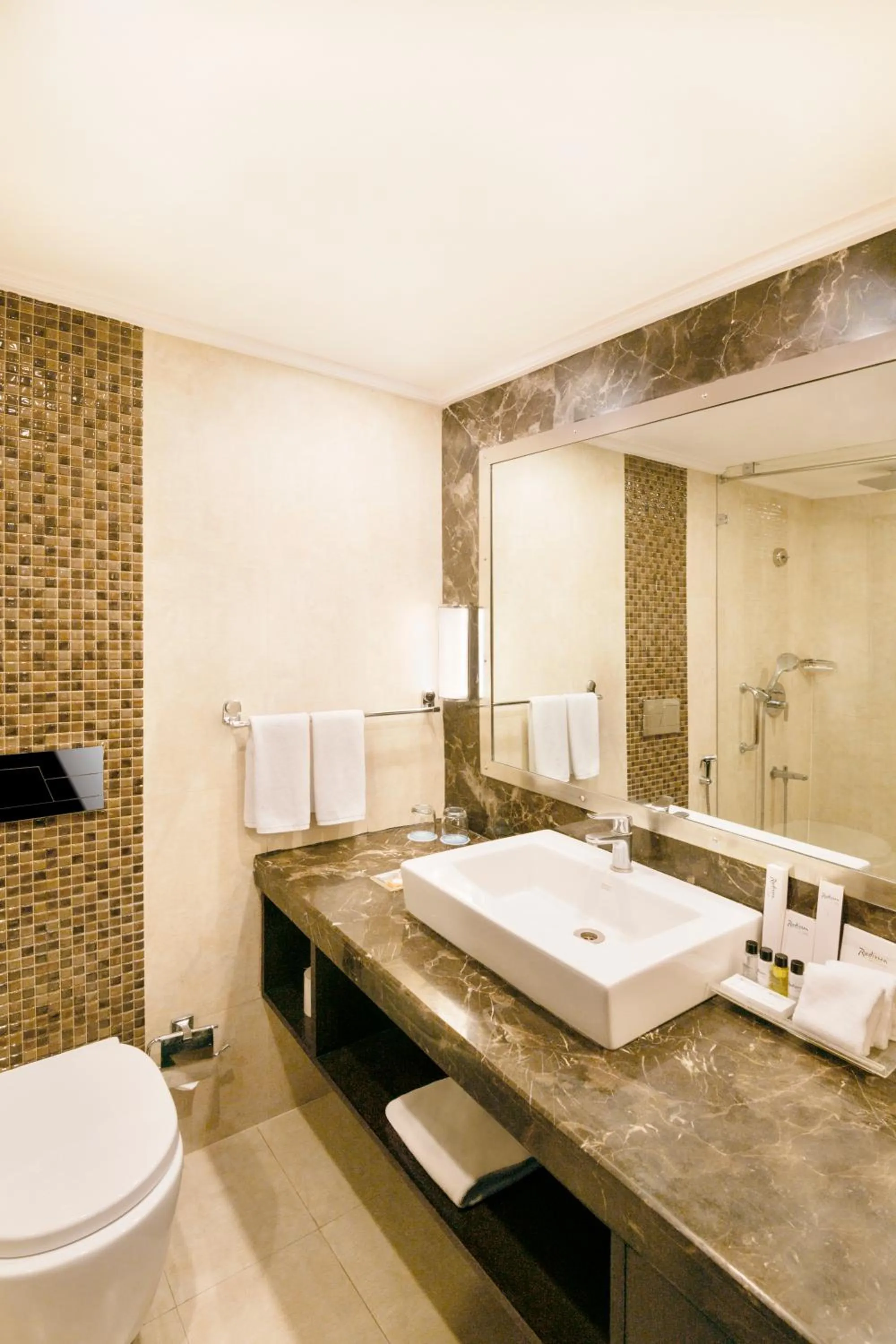 Toilet in Radisson Jaipur City Center