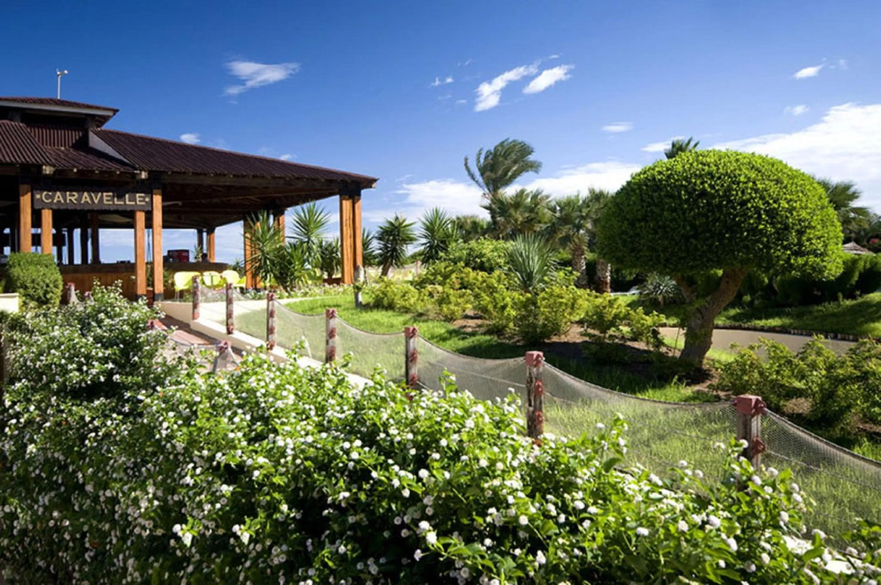 Garden in Sahara Beach Aquapark Resort