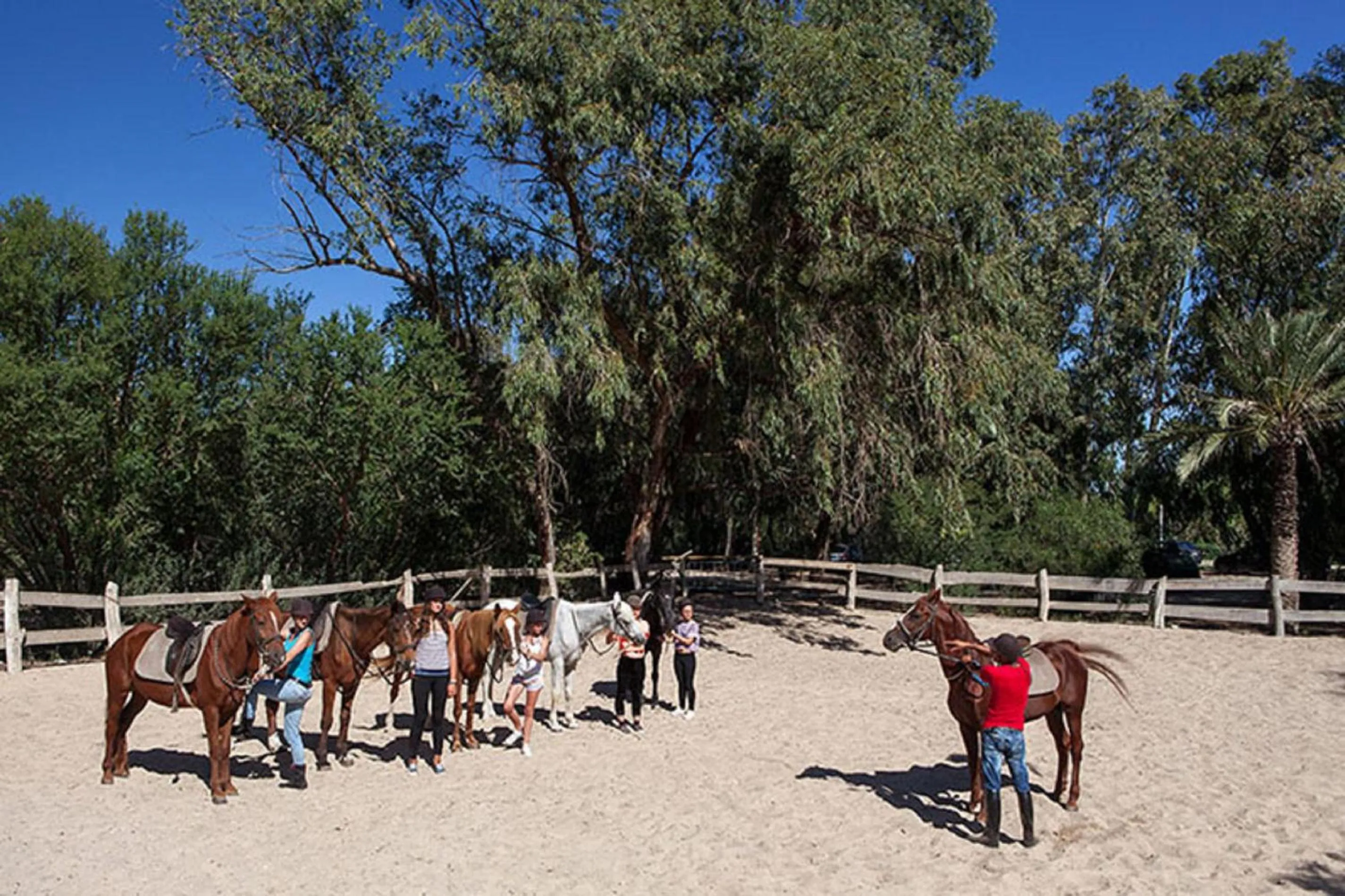 Horse-riding in Sahara Beach Aquapark Resort
