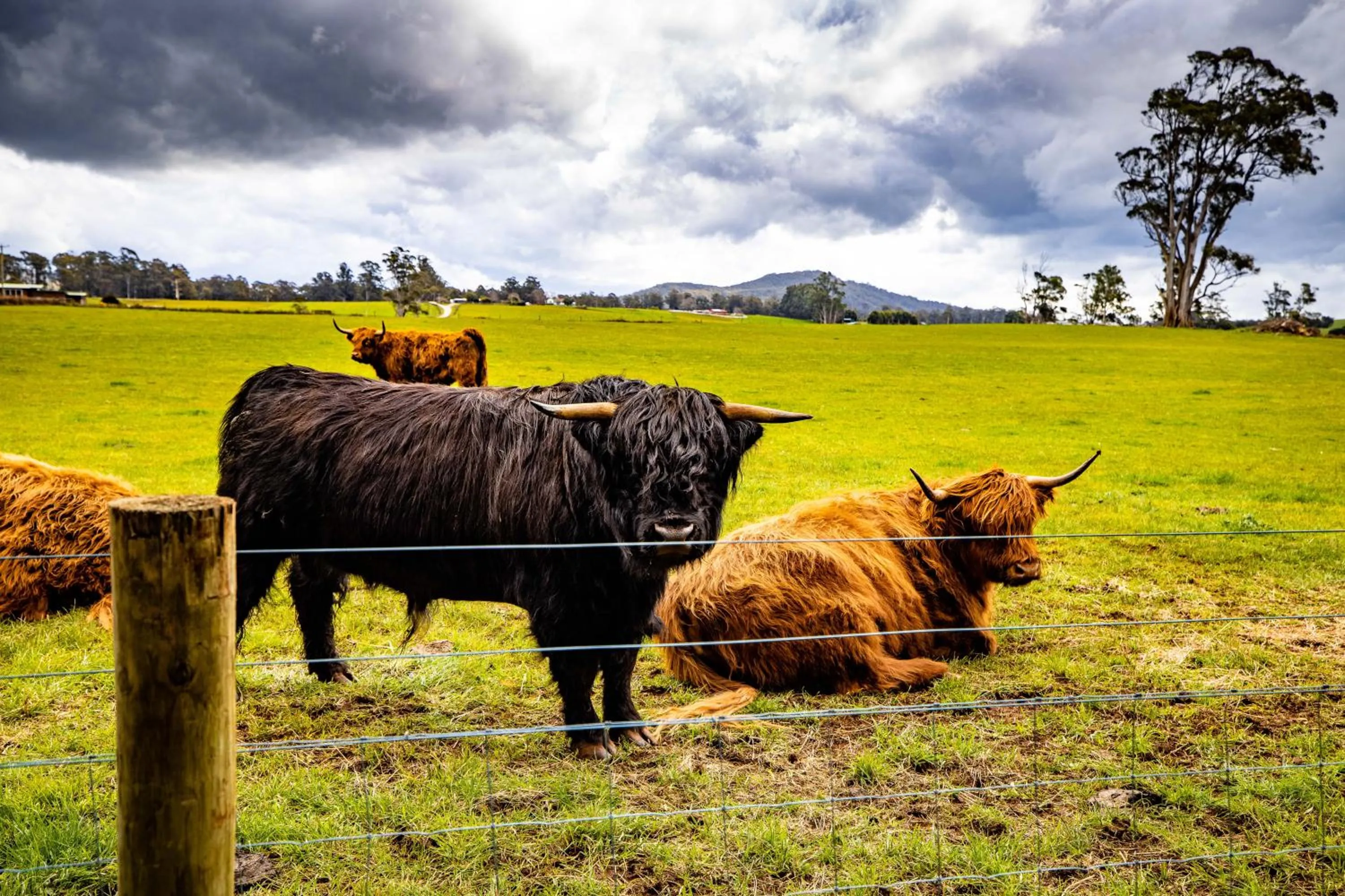 Natural landscape in Glencoe Country Bed and Breakfast