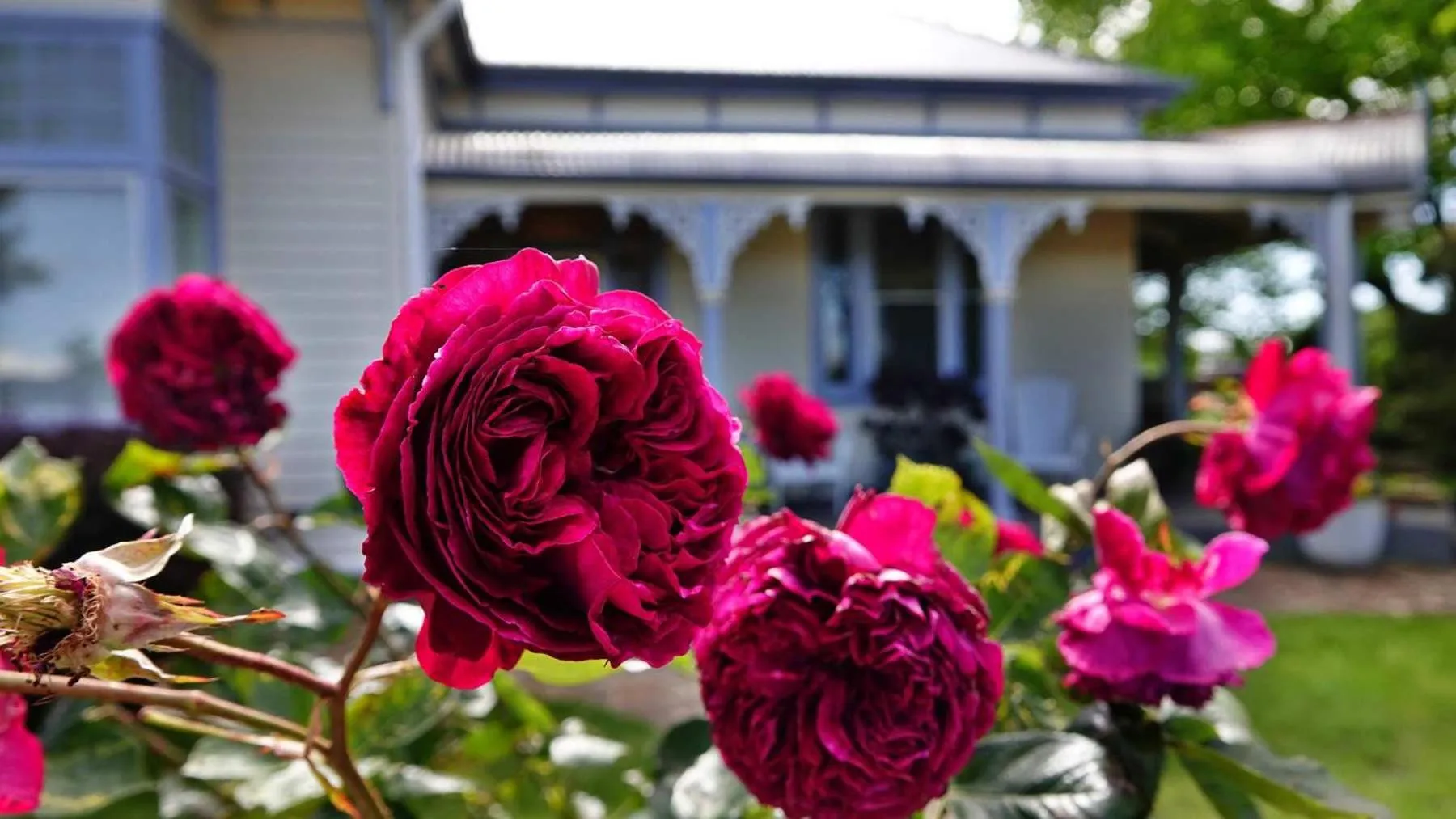 Property building in Glencoe Country Bed and Breakfast