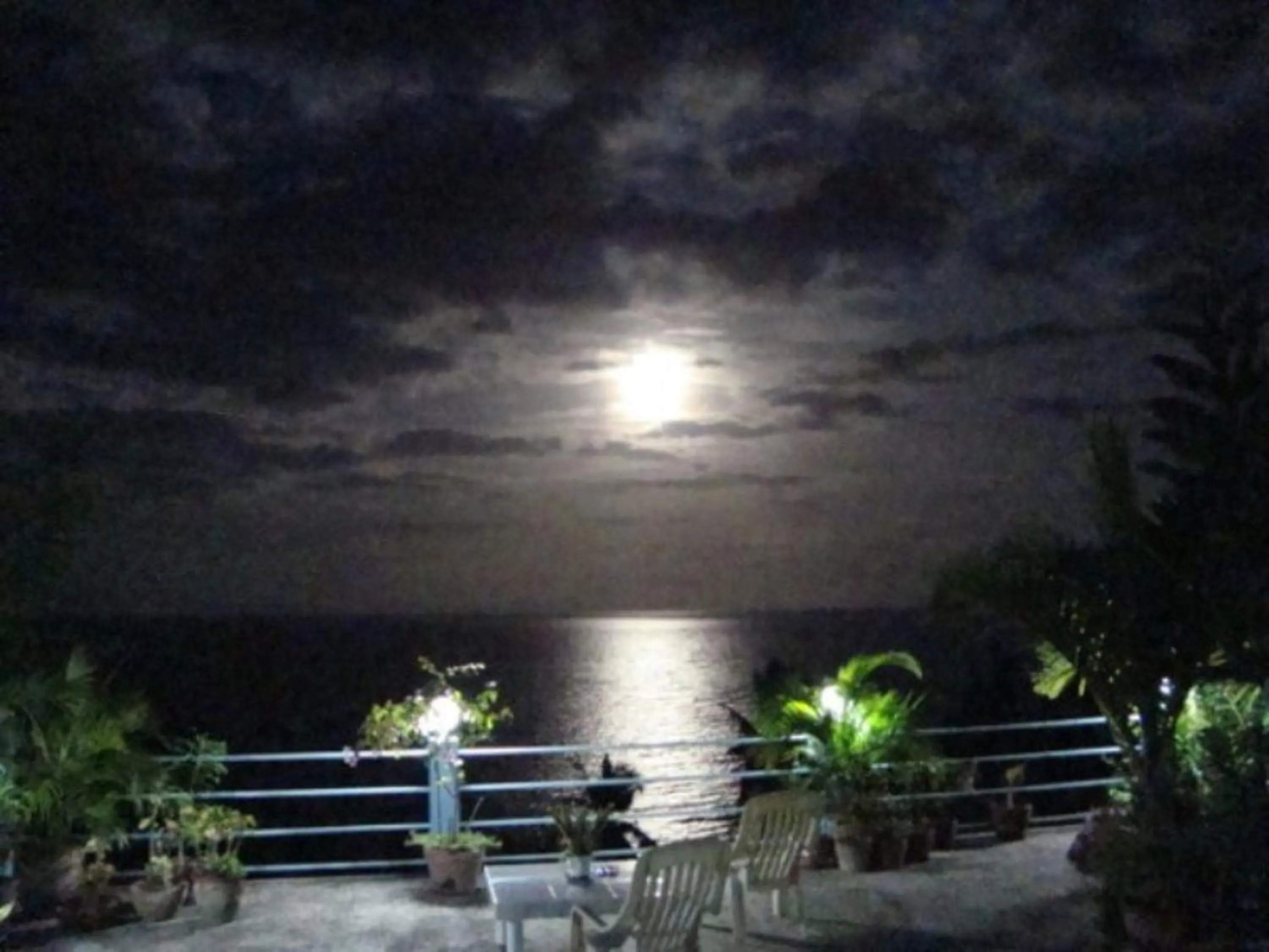 View (from property/room) in High Steps Pension