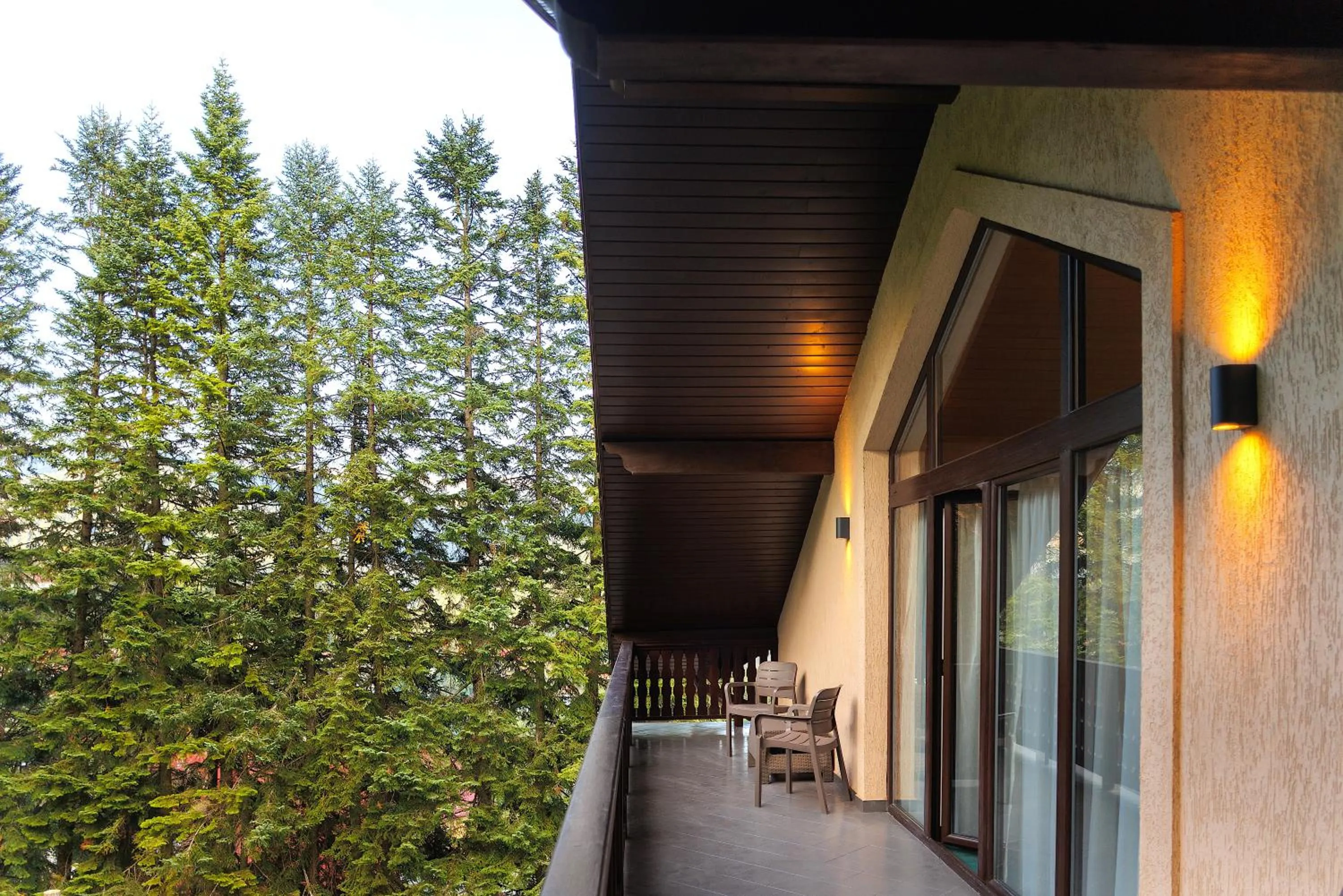 Garden view in Hotel Regal