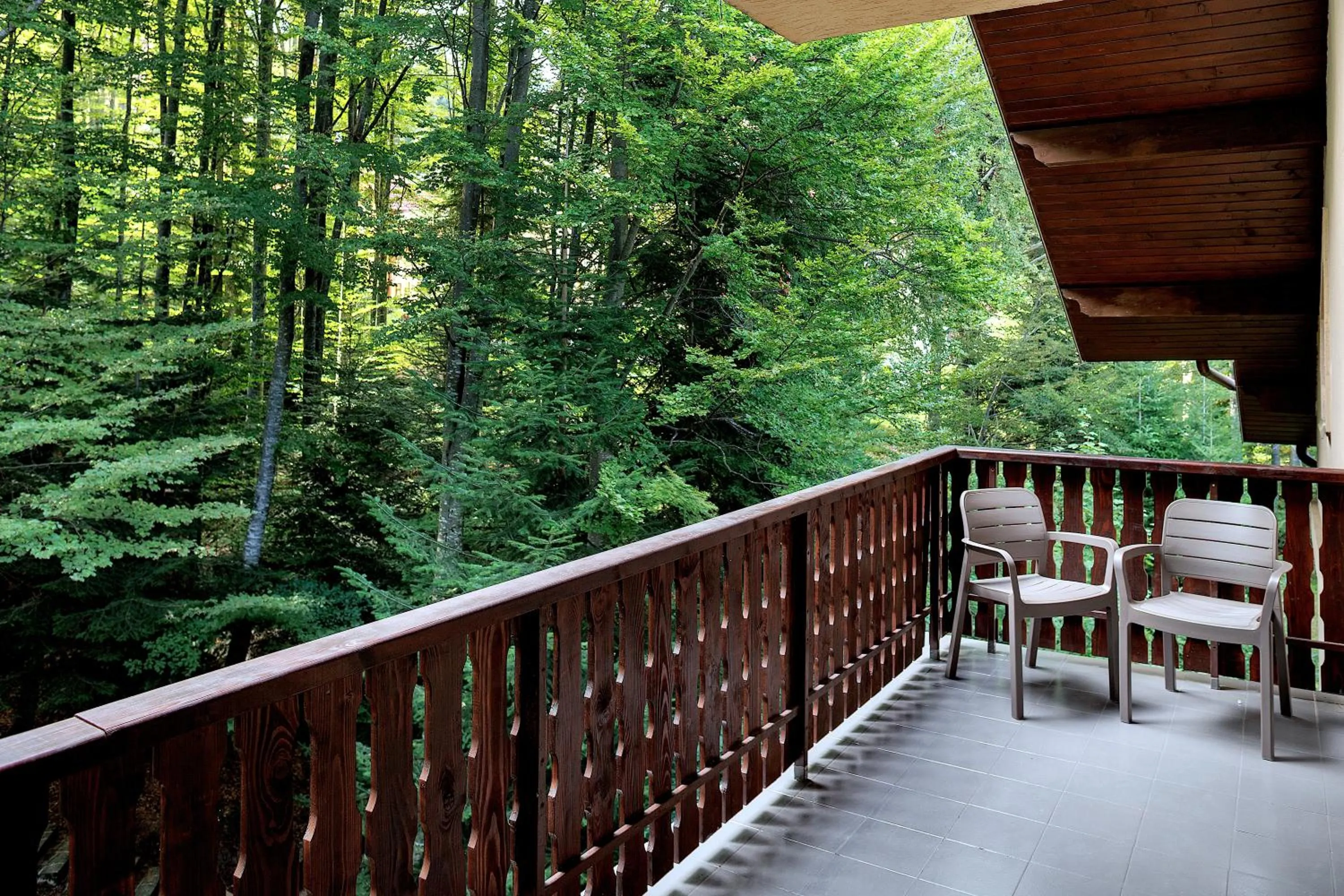 View (from property/room) in Hotel Regal