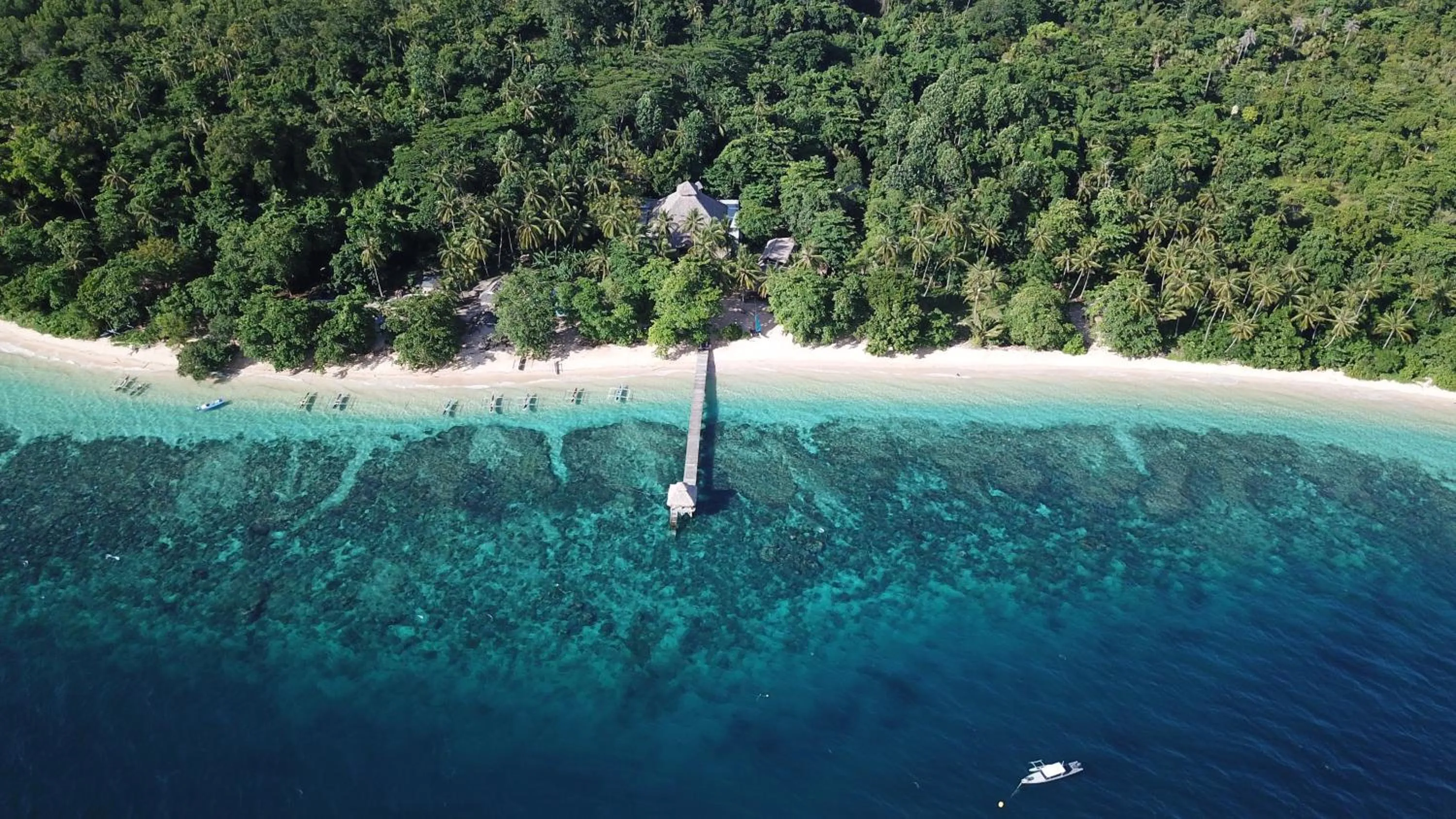 Activities in Coral Eye Boutique Resort and Marine Outpost